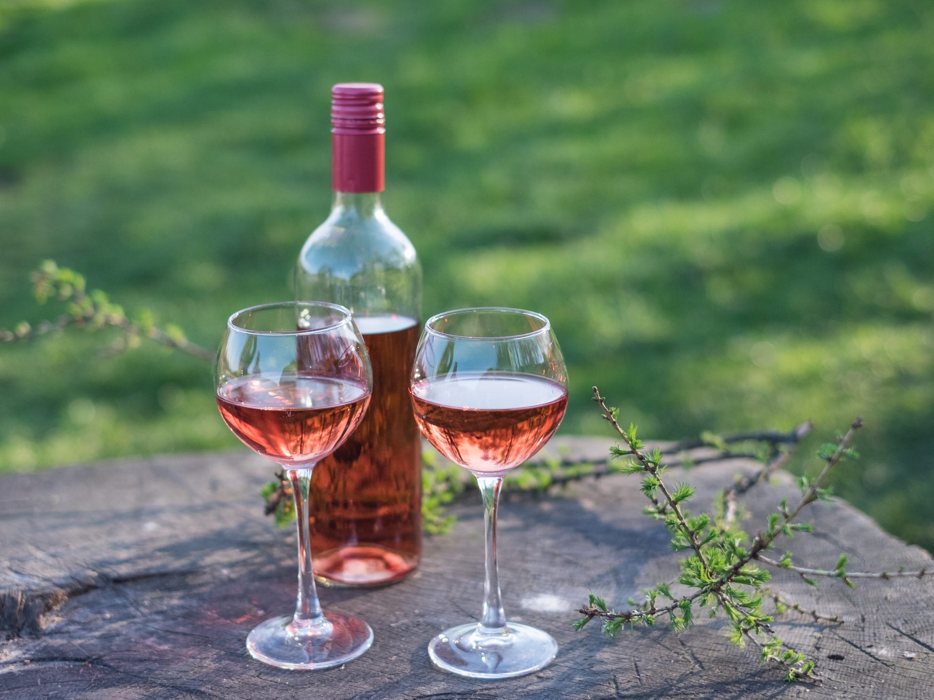 Two glasses and a bottle of rosé in front of a grass field.