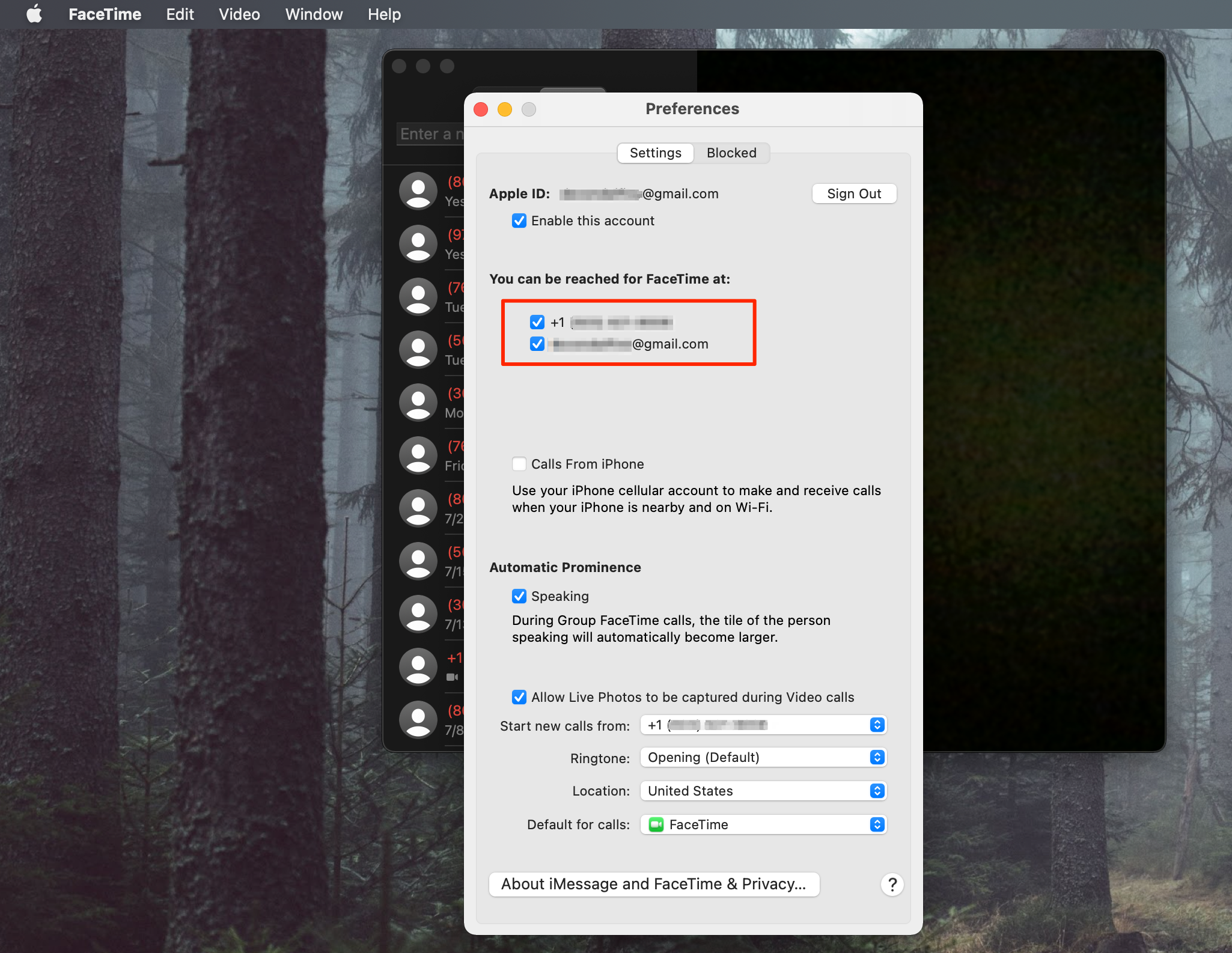 facetime not working: facetime preferences on mac