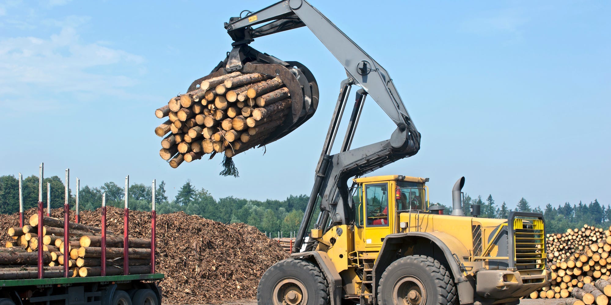 Worker loading lumber