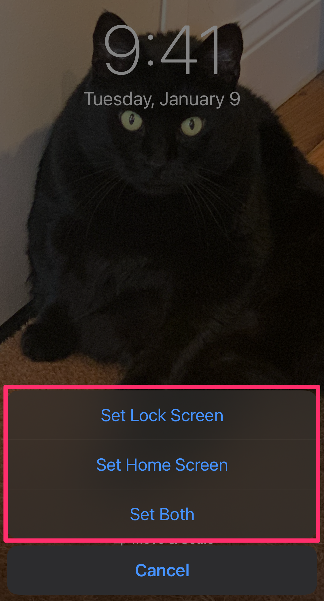 Screenshot of "Set wallpaper" pop-up on iPhone