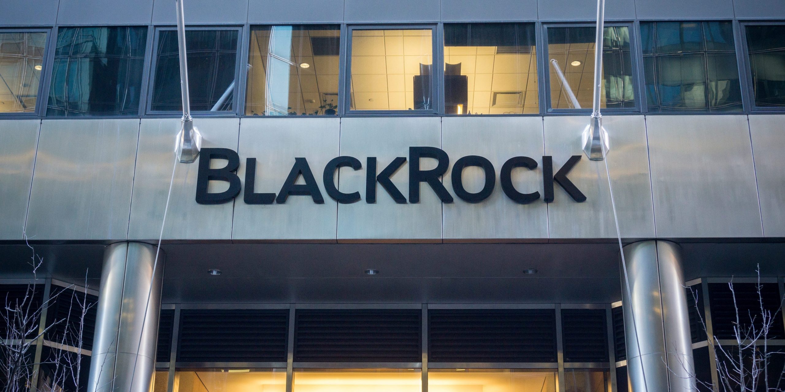 BlackRock names 2 stock sectors that will get a big boost from a major