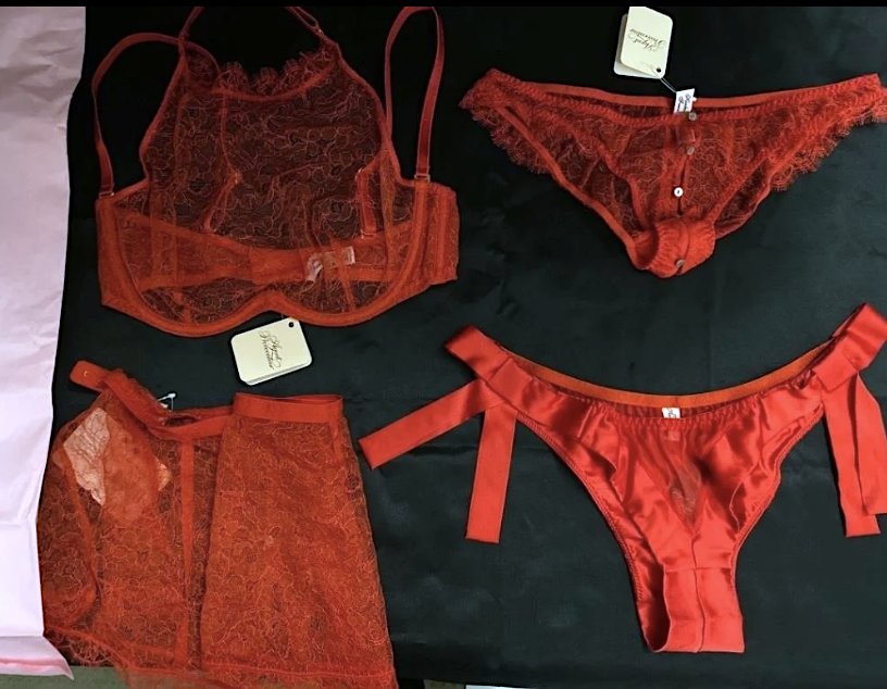 Erika Jayne lingerie auction