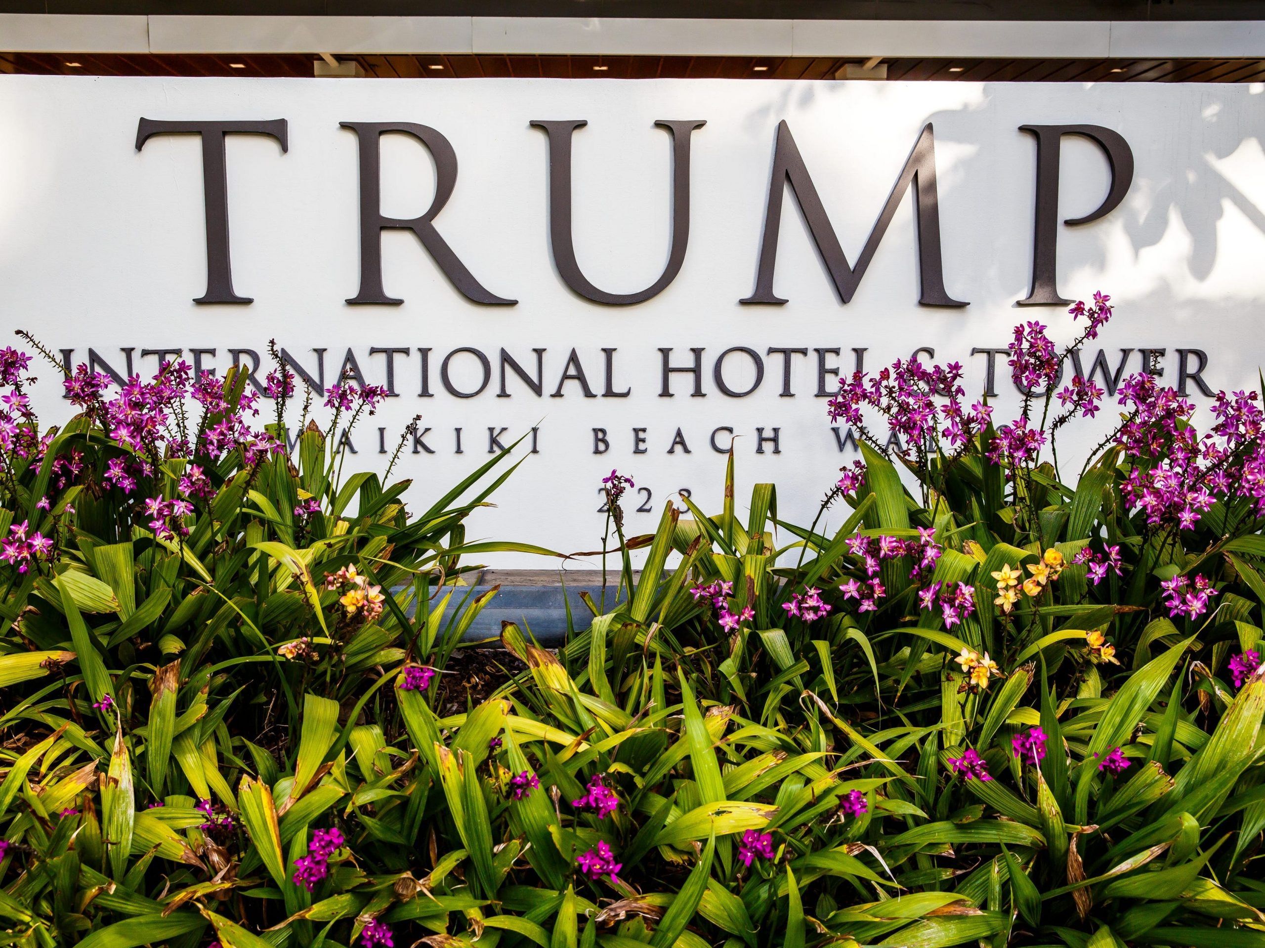 trump international hotel waikiki