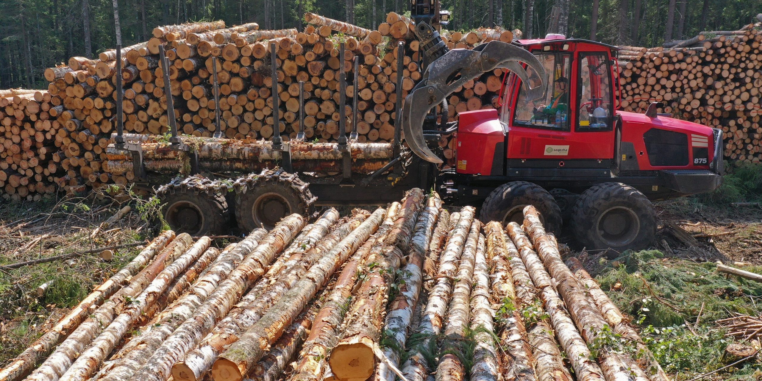 Logging wood for the Vyatsky Plywood Mill owned by Segezha Group in a forest in the Nema District. A subsidiary of AFK Sistema, Segezha Group is a fully and vertically integrated timber holding employing advanced wood processing technologies. Alexander Ryumin/TASS