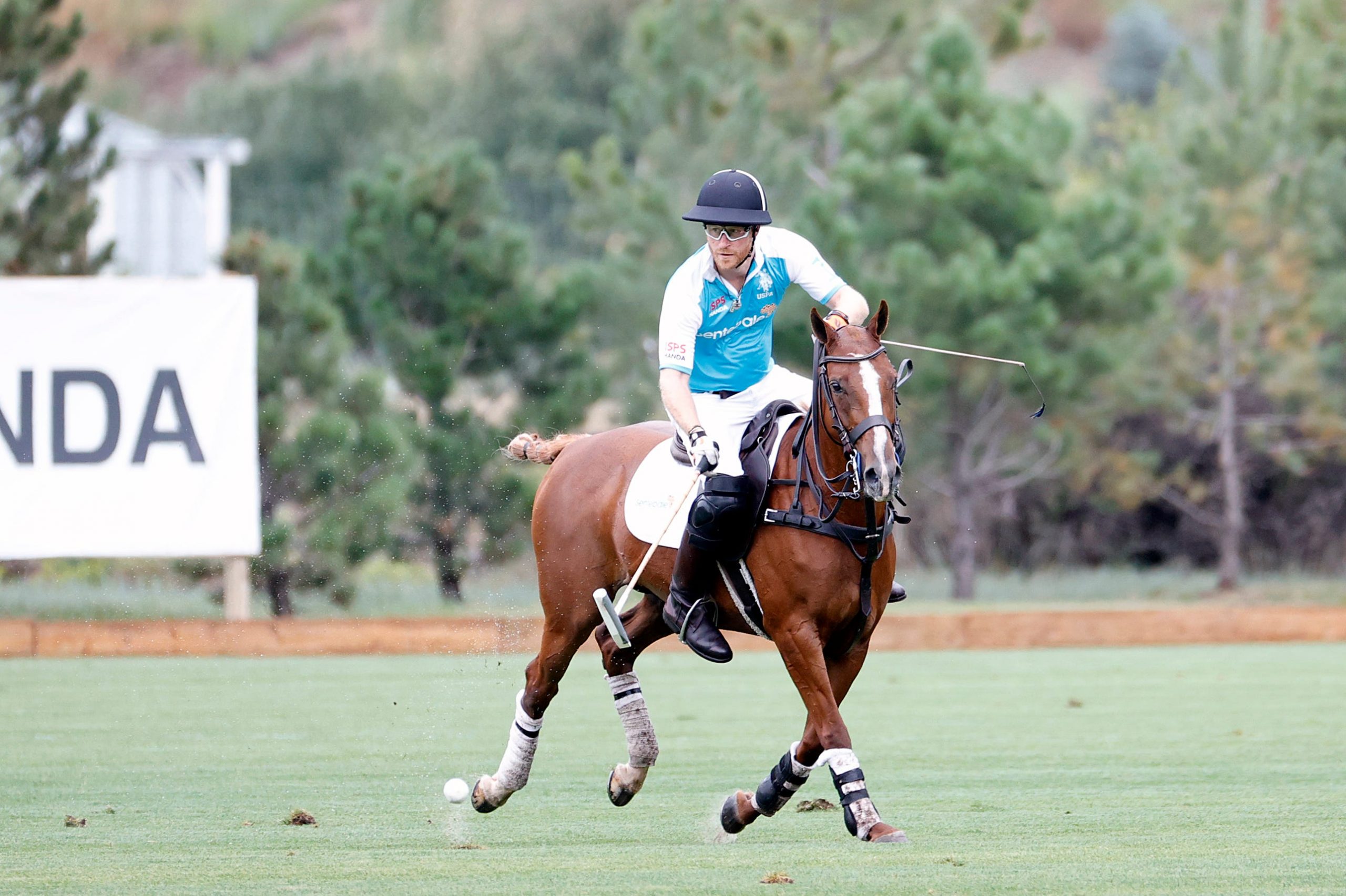 Prince Harry pictured on a brown horse during the Sentebale ISPS Handa Polo Cup on Thursday.