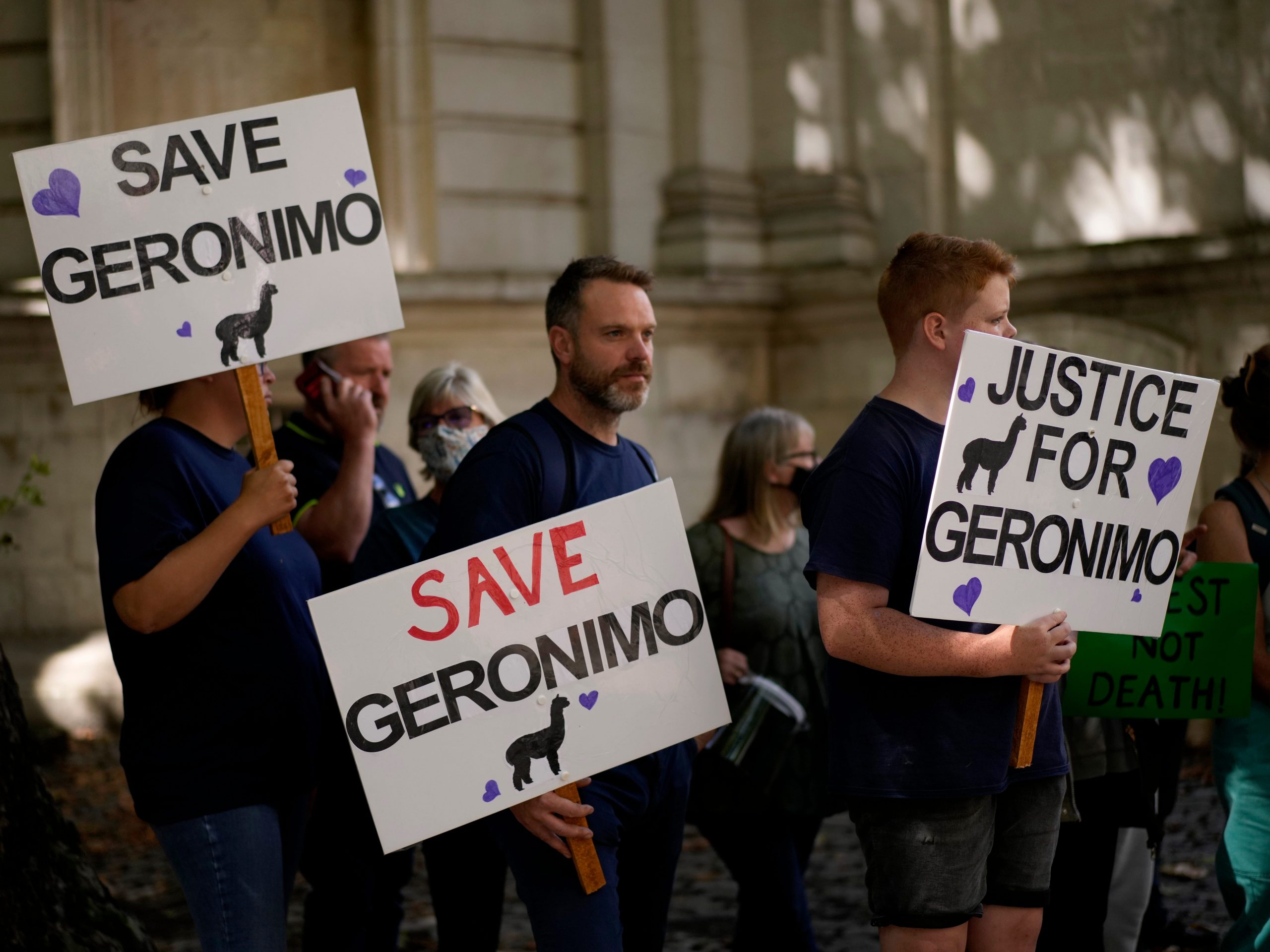 Animal rights protesters hold placards outside Britain's Department for Environment, Food and Rural Affairs (DEFRA), in London, Monday, Aug. 9, 2021, to try to save an alpaca named Geronimo from being euthanised. Geronimo has twice tested positive for bovine tuberculosis, and DEFRA has ordered he be euthanised. His owner, Helen Macdonald, who imported him from New Zealand, believes the tests are returning false positives, but has lost her final appeal to save him.