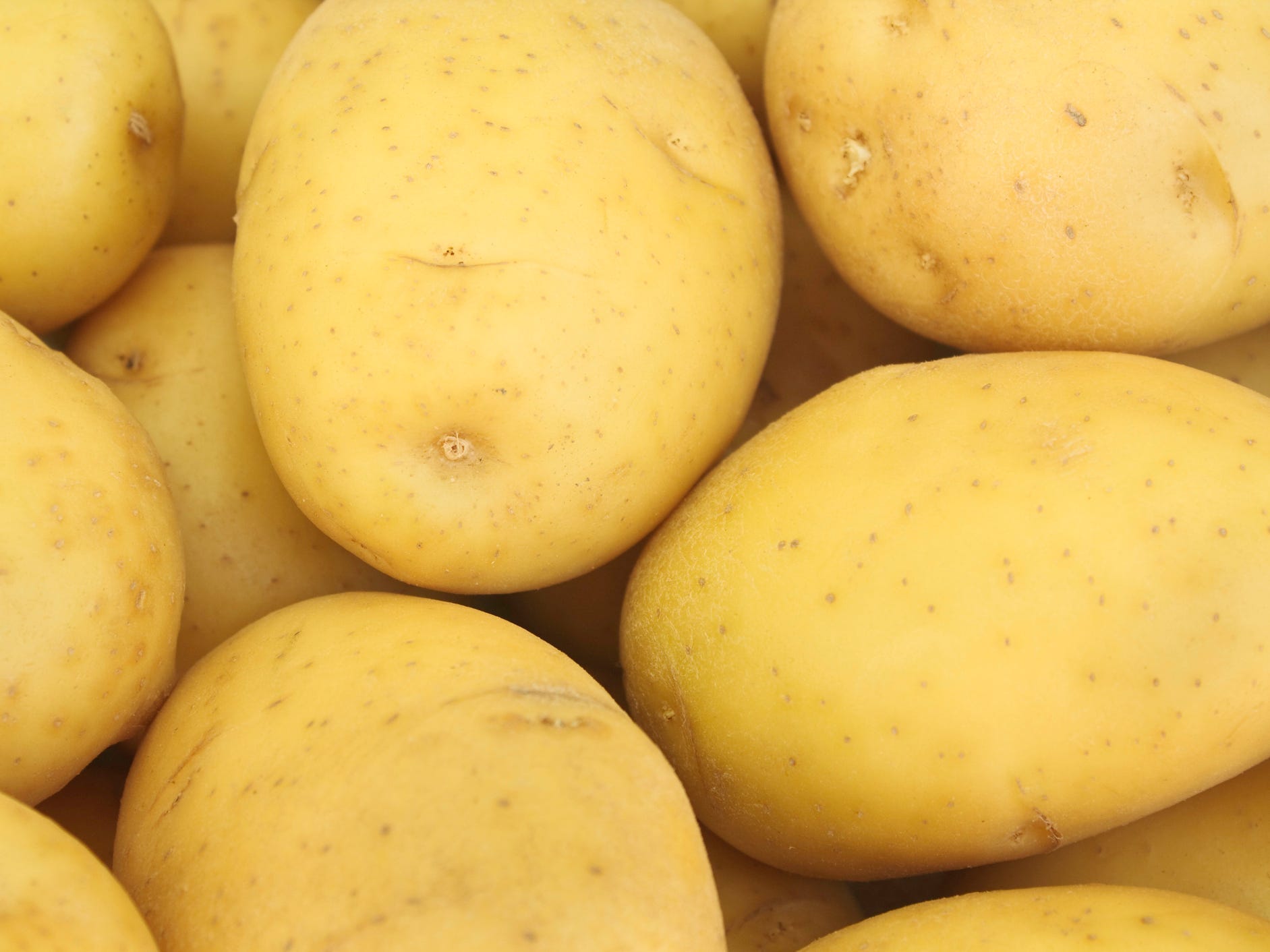 A close up of a pile of Yukon gold potatoes