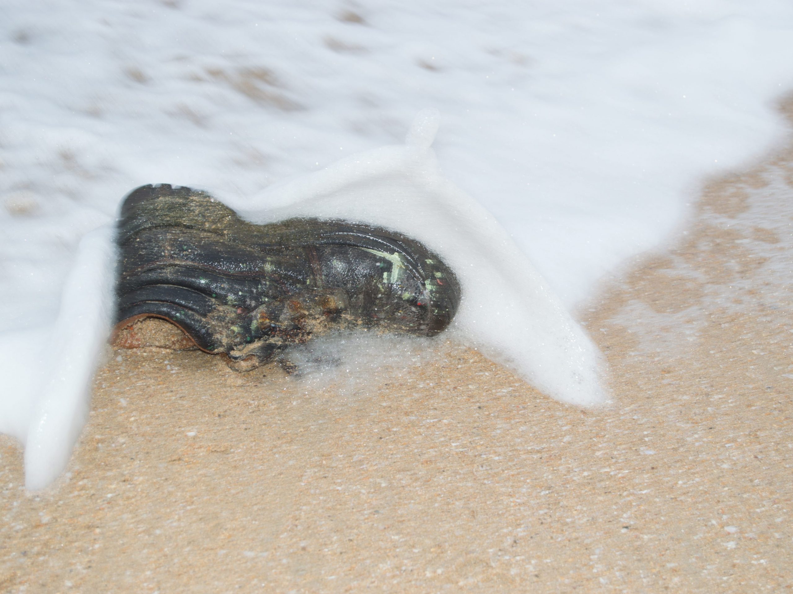 Shoe washes up on beach