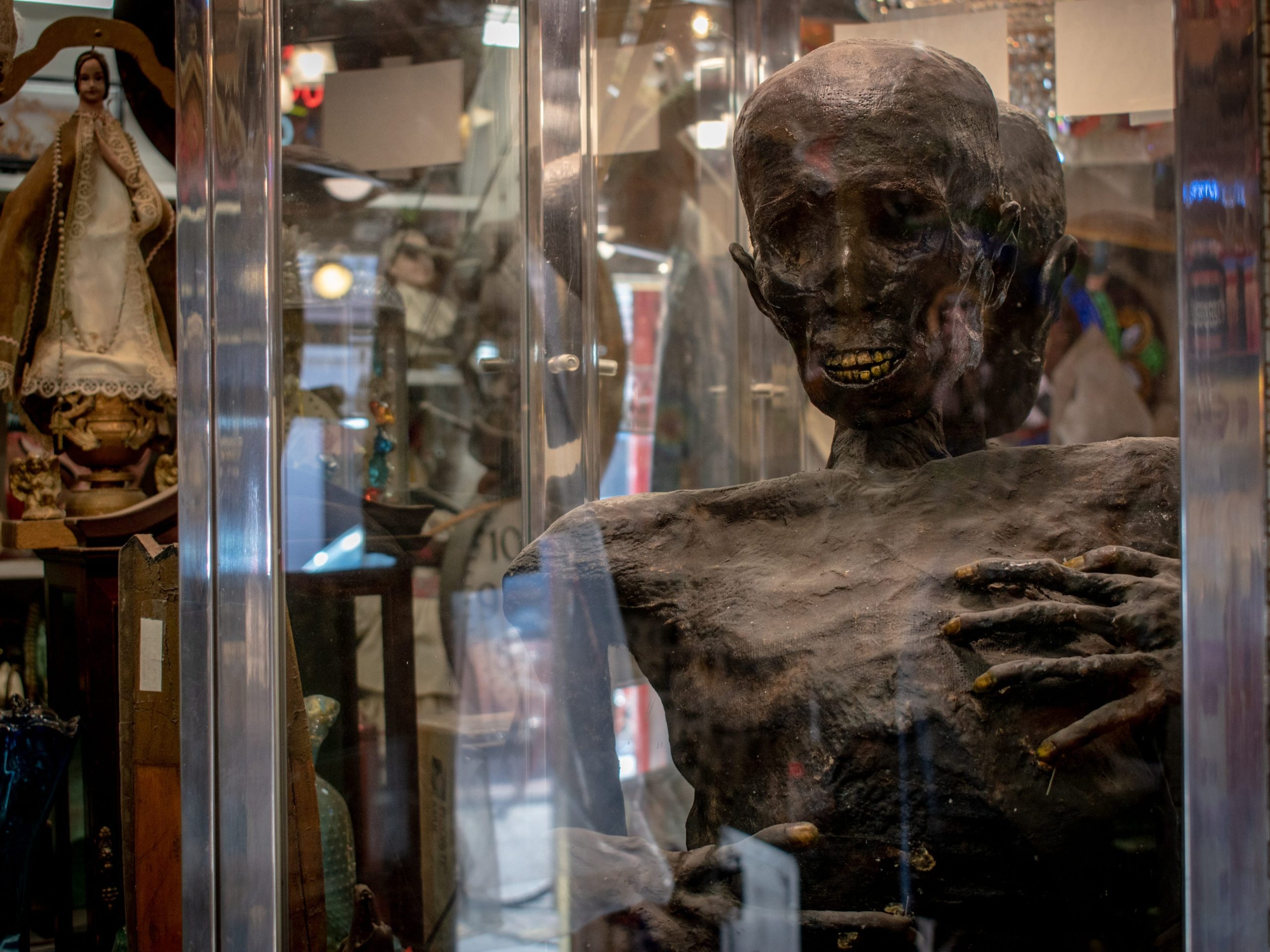 mummy in a glass display case