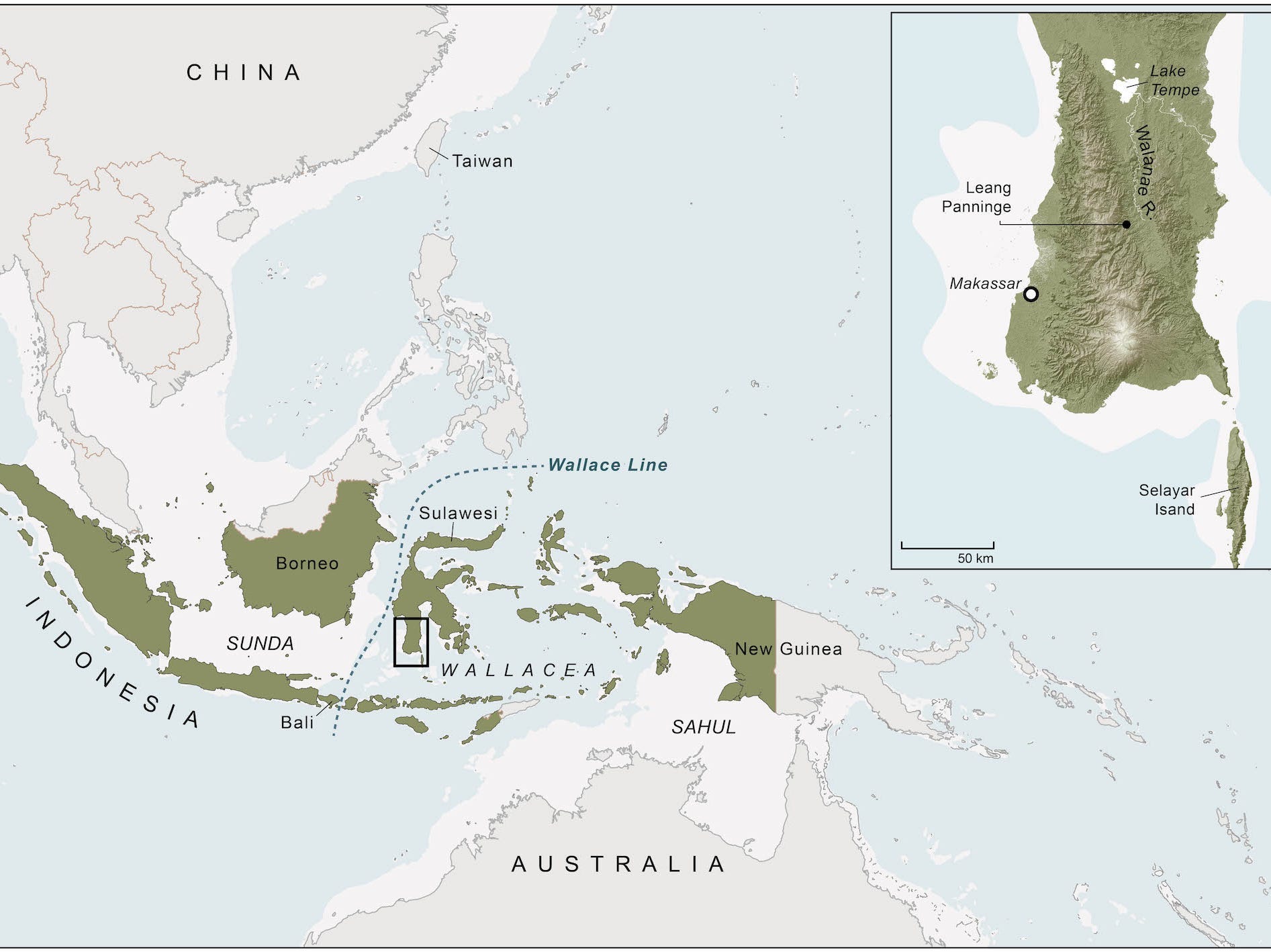 a map of southeast Asia shows the location of the LEANG PANNINGE cave in Indonesia.