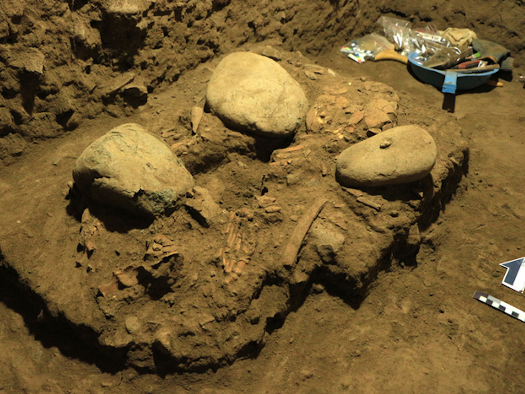 an image of the excavation site shows three boulders encased in dirt, and some skeletal remains