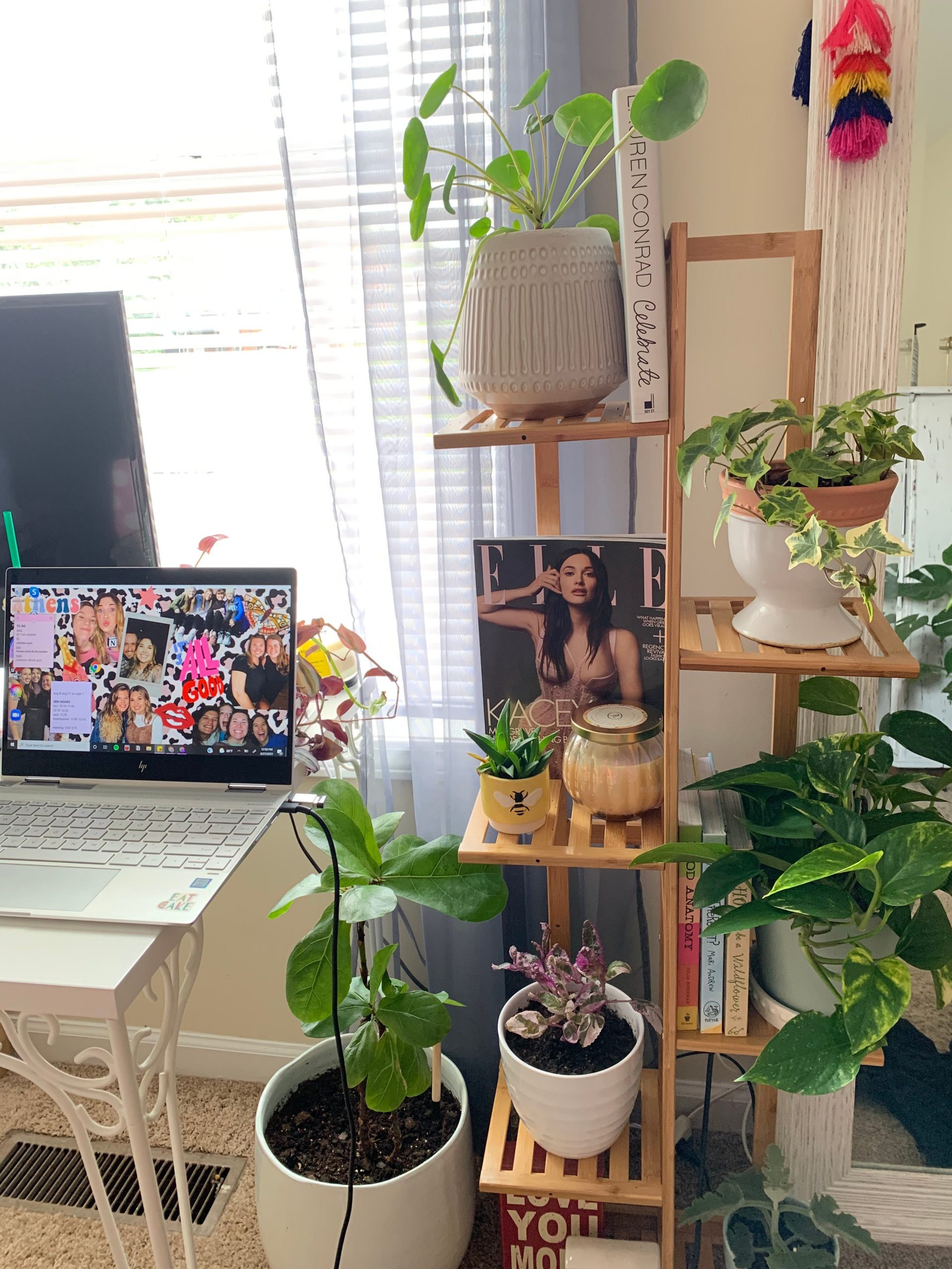 A home office setup with a laptop, desk, and lots of plants.