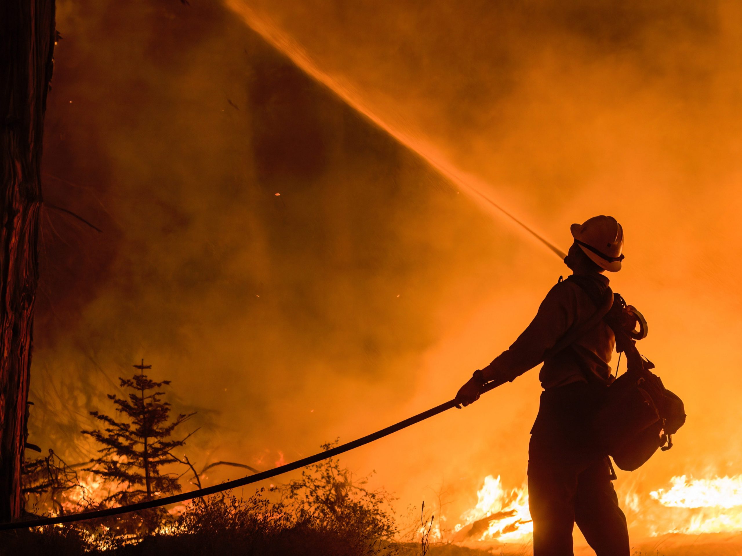 A firefighter sprays water on the trees. The Caldor fire has grown to over 130,000 acres and threatens to grow to the Tahoe basin. These images where taken at a backfire set by crews in an effort to gain control on the Caldor fire. Cause still unknown at this time.