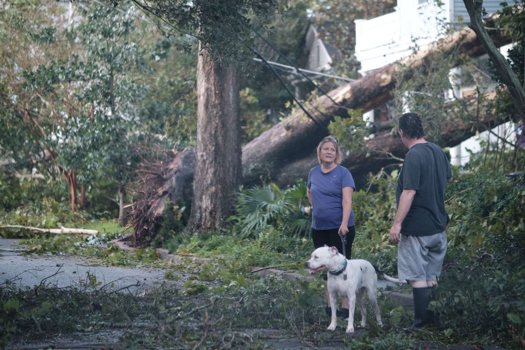 A pair is seen with a dog next to fallen trees.