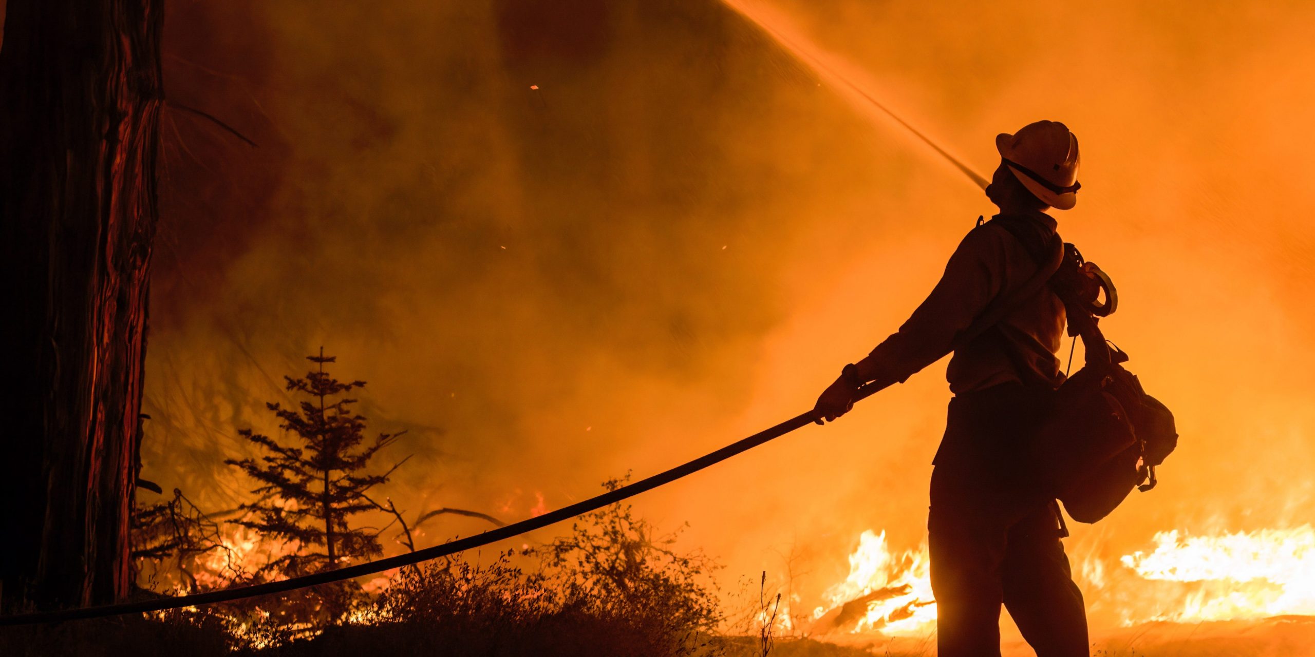 A firefighter sprays water on the trees. The Caldor fire has grown to over 130,000 acres and threatens to grow to the Tahoe basin. These images where taken at a backfire set by crews in an effort to gain control on the Caldor fire. Cause still unknown at this time.