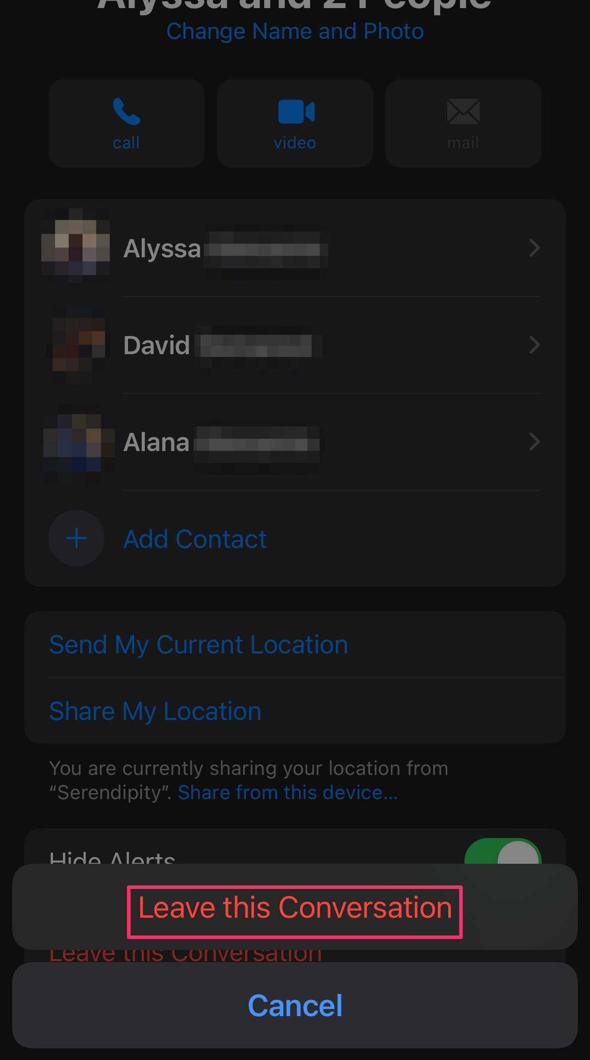 iPhone screenshot of an iMessage group menu with the Leave this Conversation button highlighted