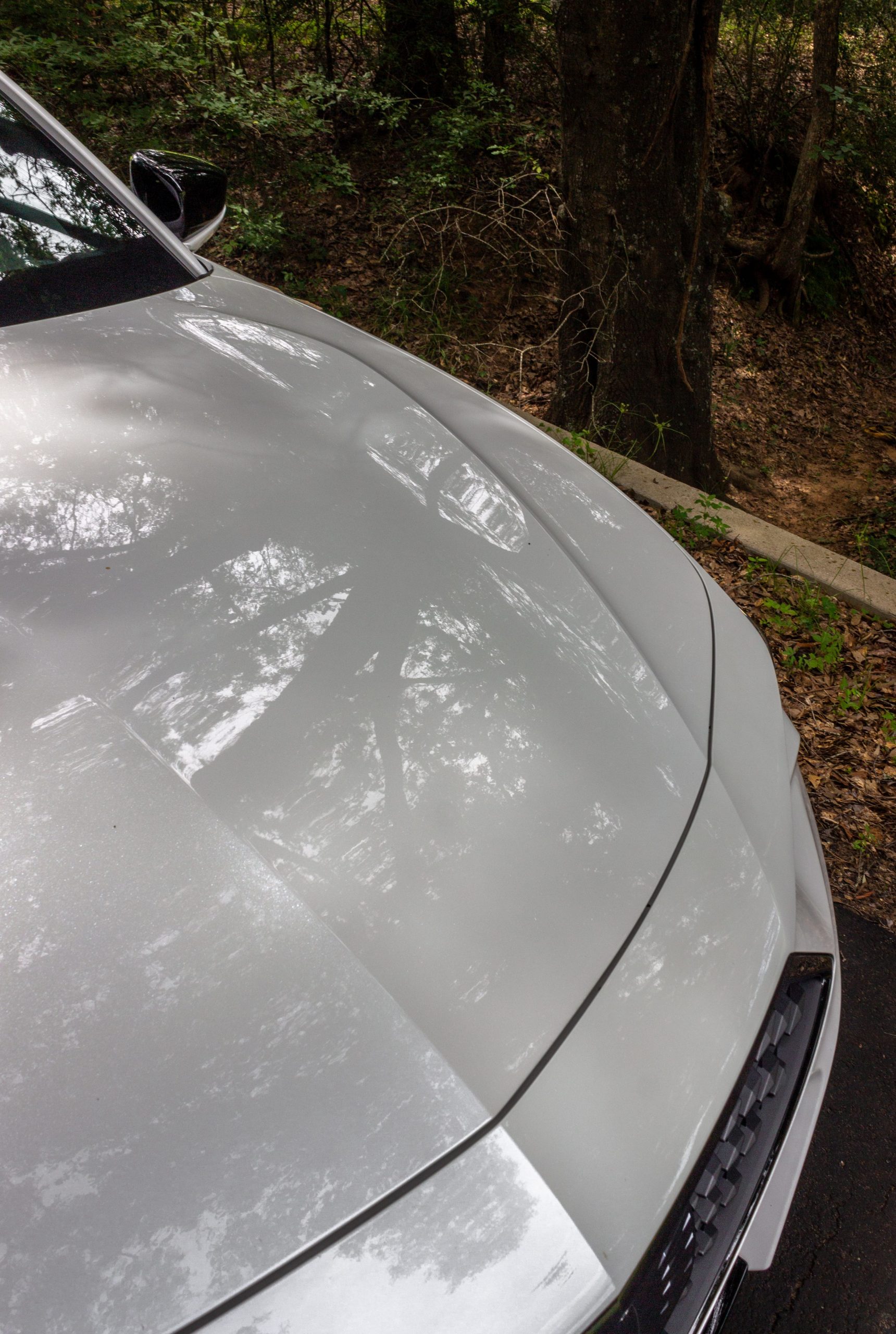 The 2021 Acura TLX A-Spec's hood.