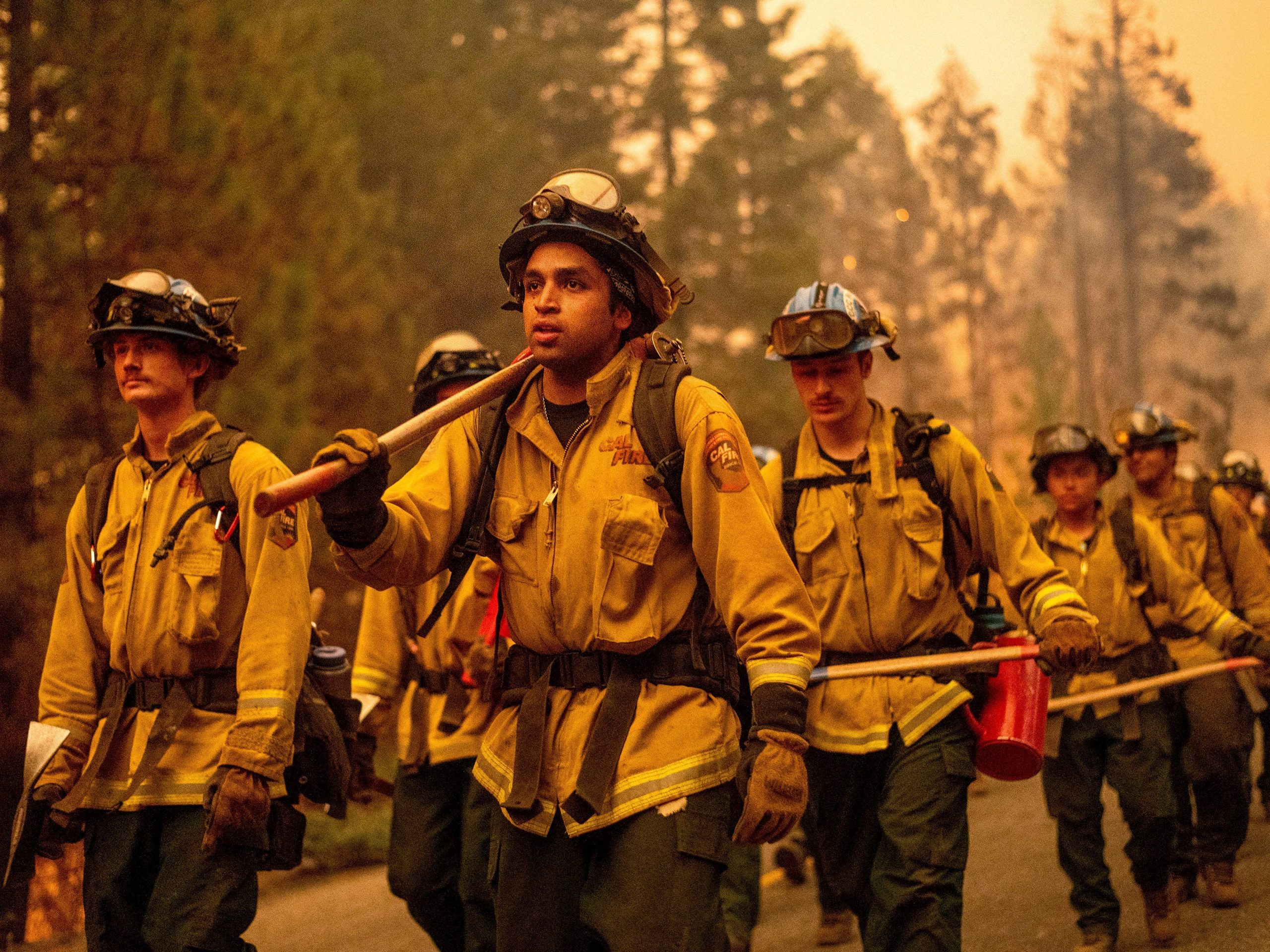 Multiple firefighters walk through the forest.