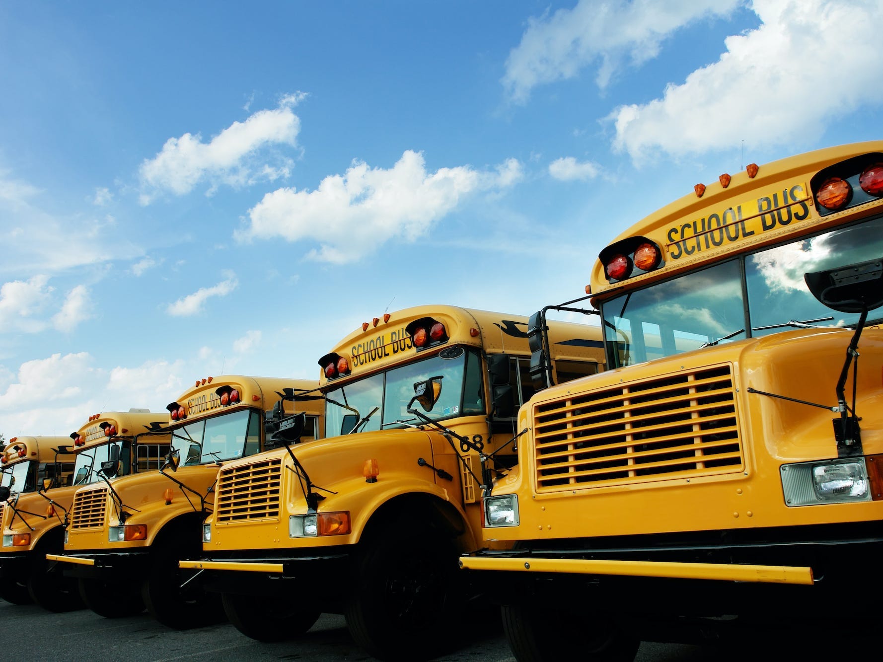 line of school buses