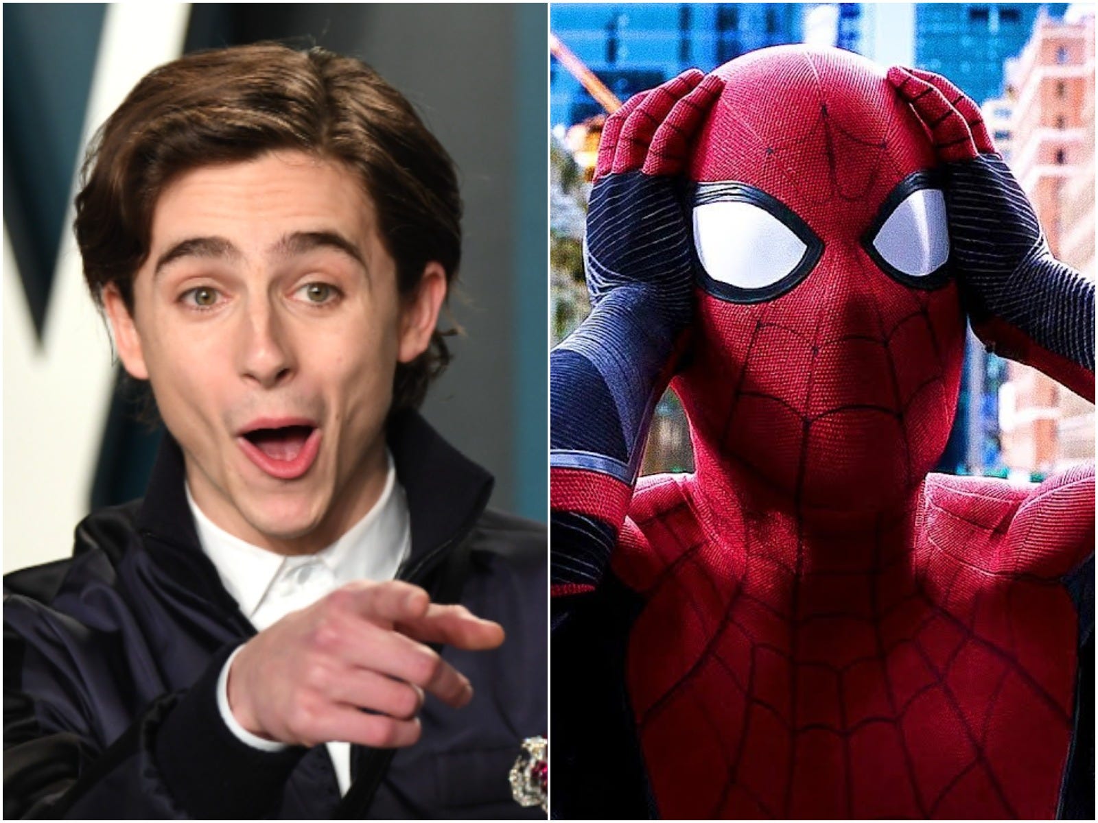 Timothée Chalamet admitted he watched the 'Spider-Man: No Way Home' trailer  'frame by frame'