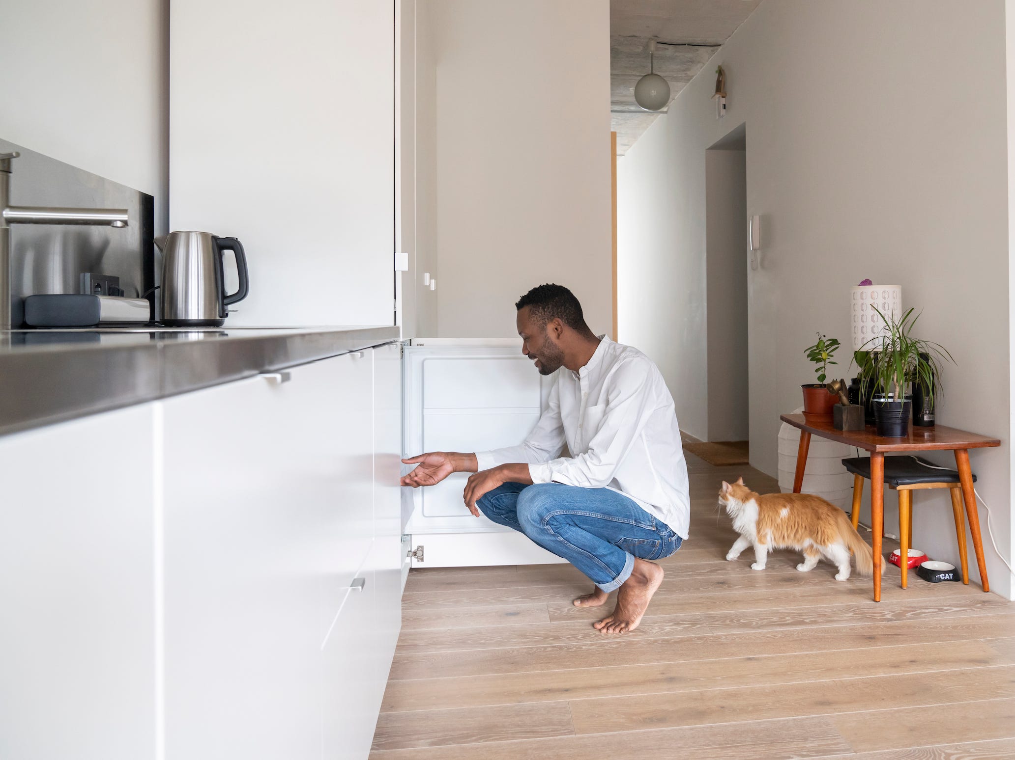 Man crouching at freezer in kitchen with cat walking behind him