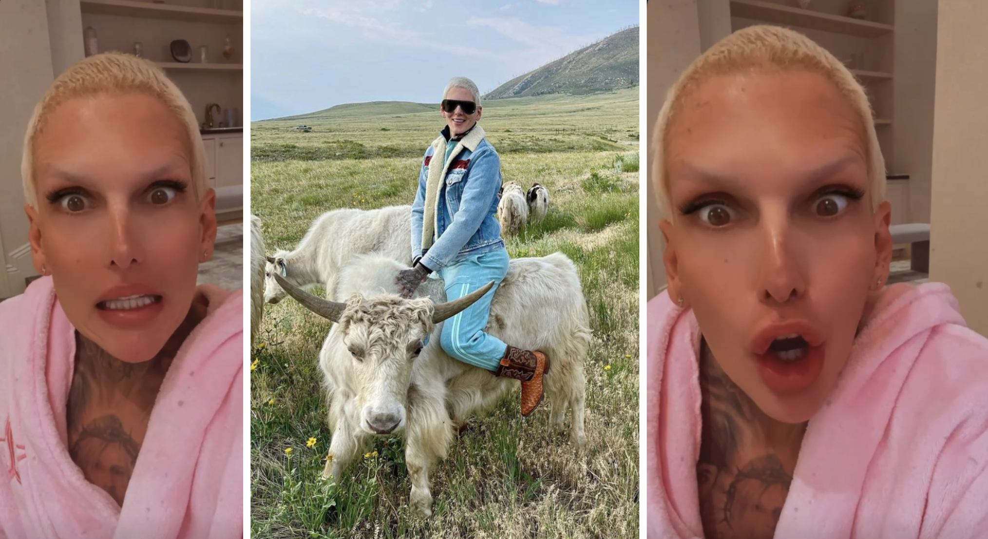 Jeffree Star says he's been filming the construction and expansion of Star Yak Ranch, starting from when he bought his first yak.