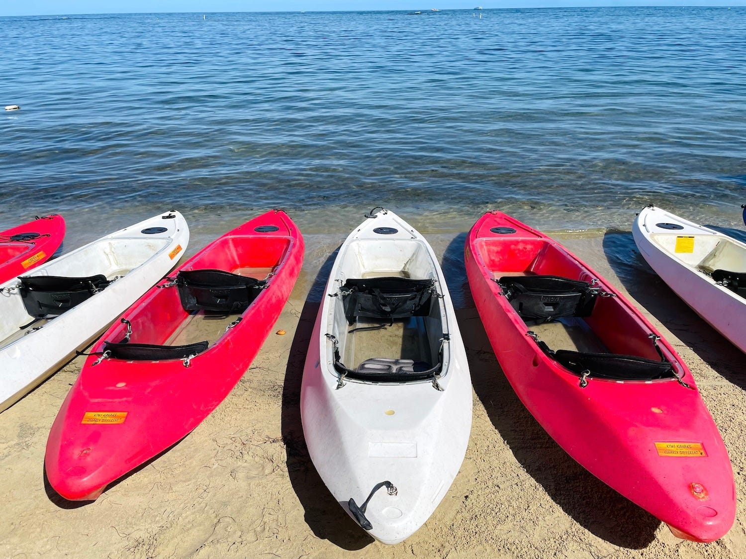 Our kayaks lined up along the beach.