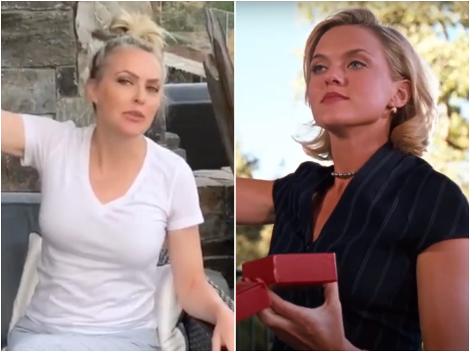 Elaine Hendrix The Parent Trap Meredith Blake bell