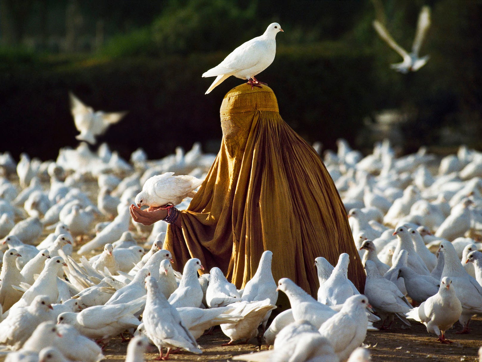 Steve McCurry Afghanistan