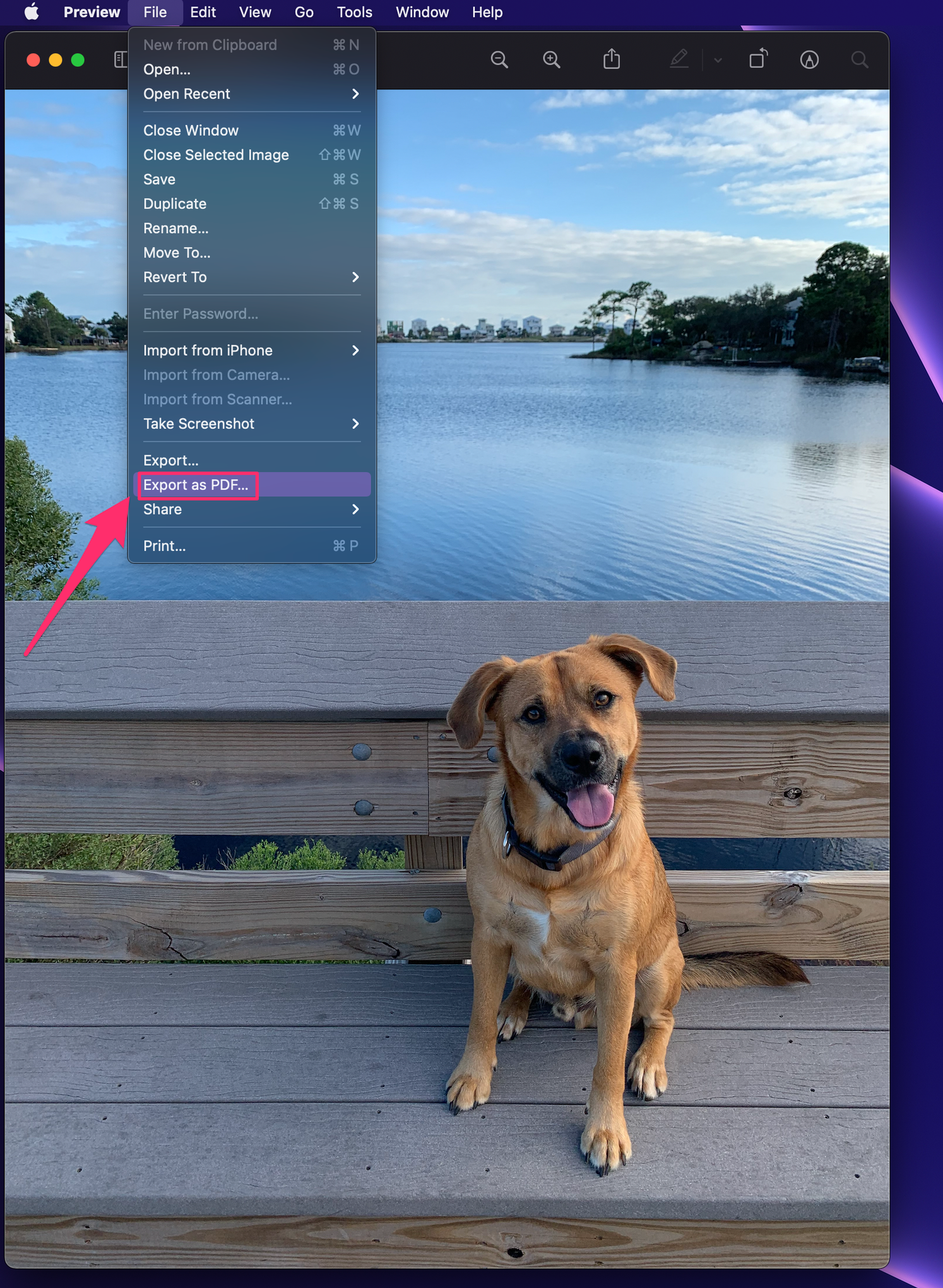 Mac screenshot of the Preview app with the "Export as PDF" option highlighted