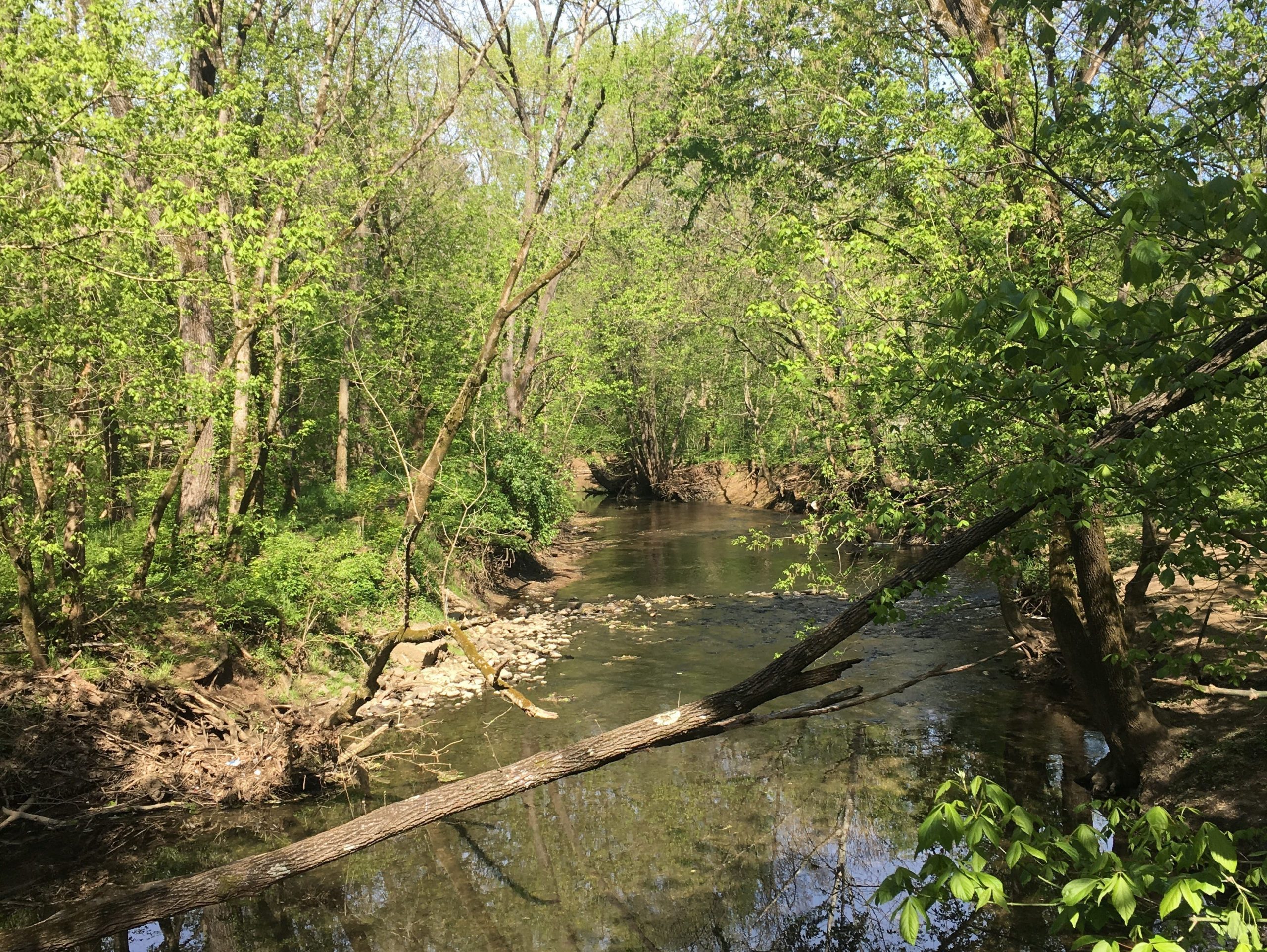 Cherokee park in louisville kentucky