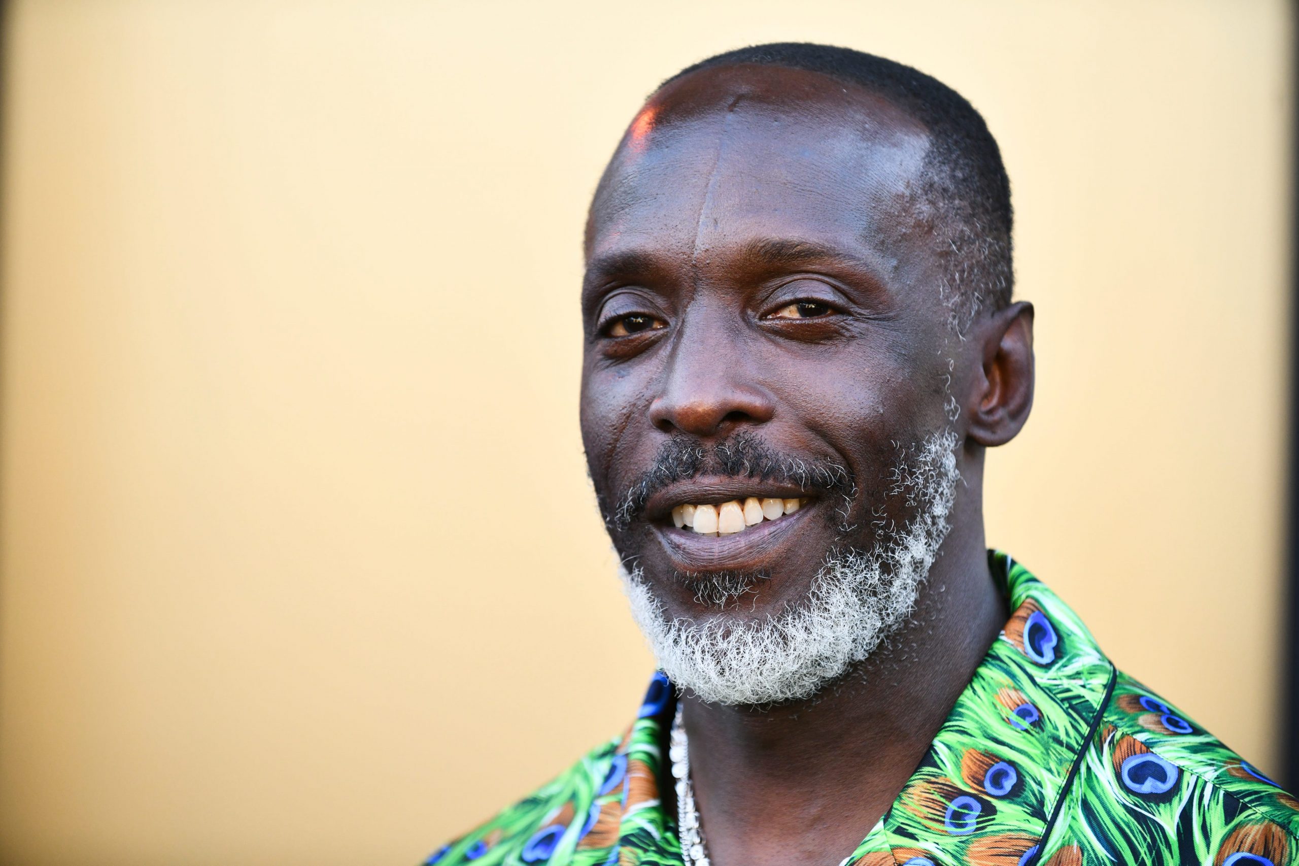 Michael K. Williams in a colorful shirt