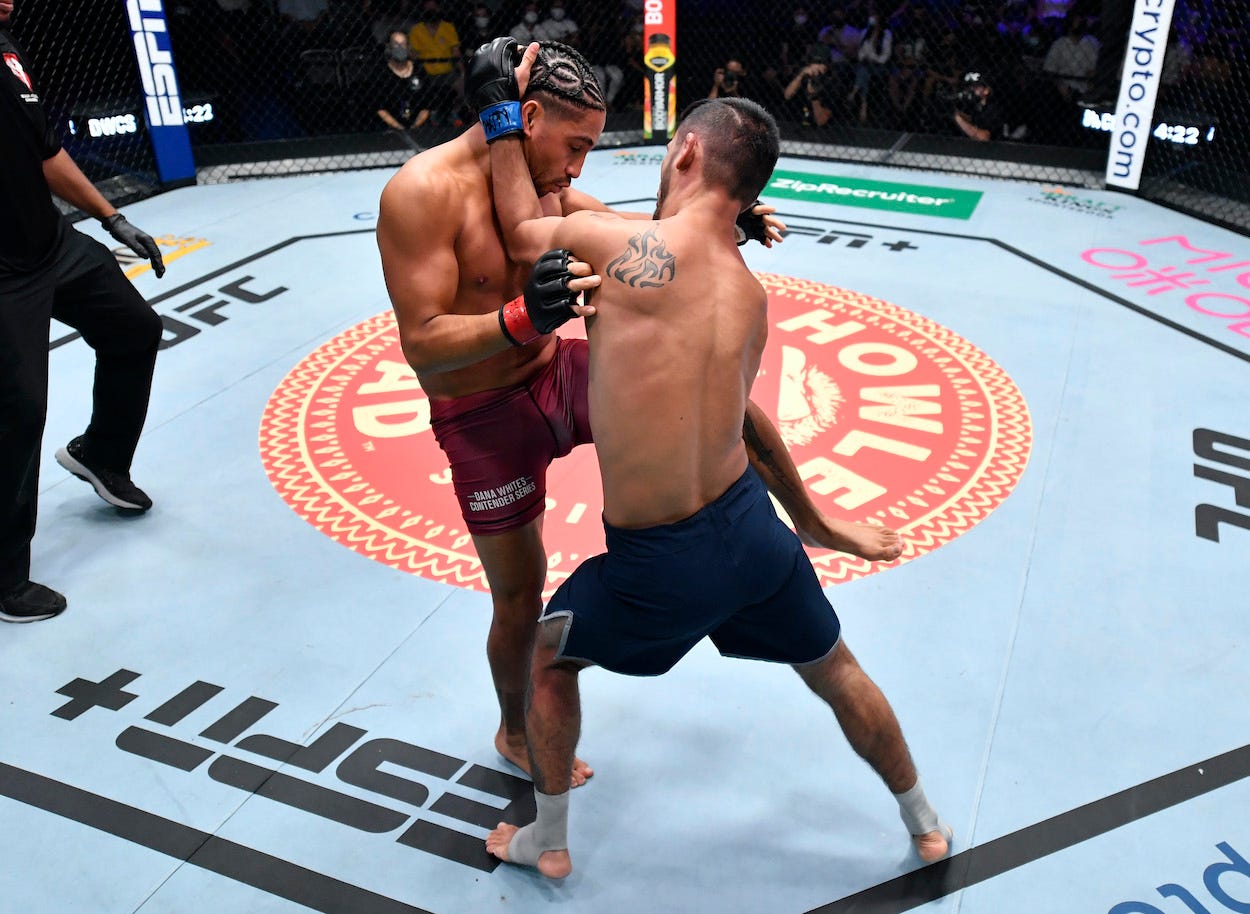 C.J. Vergara kneed Bruno Mesquite in a flyweight fight during the Contender Series.