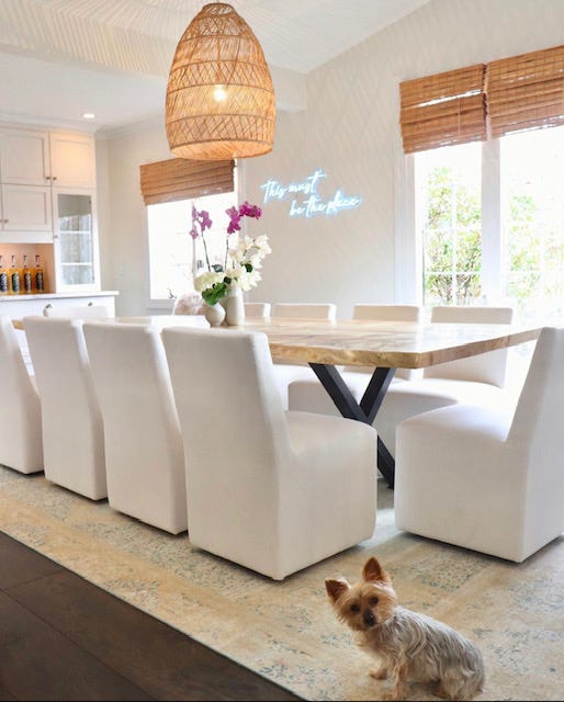 A dinning room with large white fabric chairs, a long table, and a small dog facing the camera.