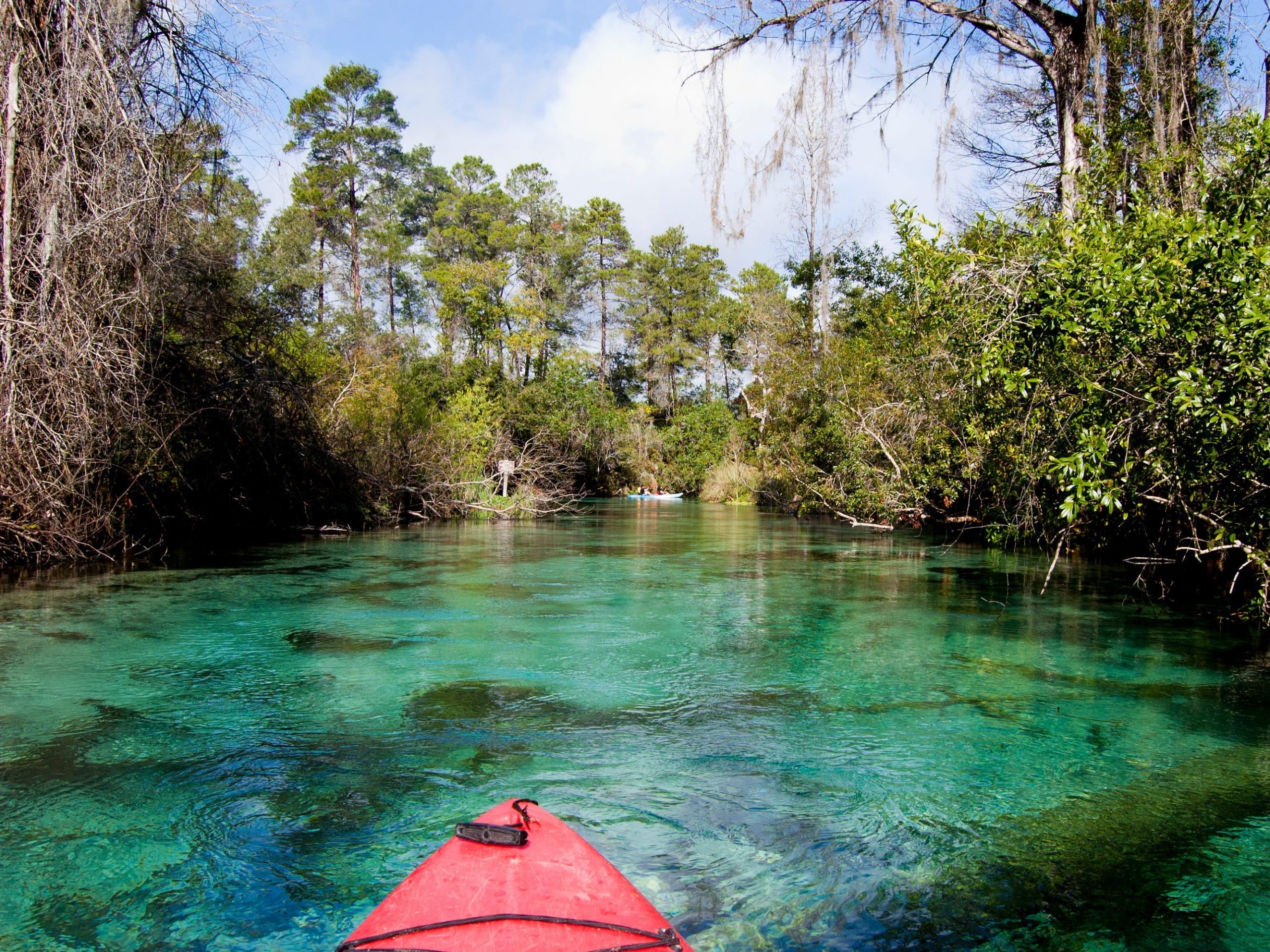 weeki wachee