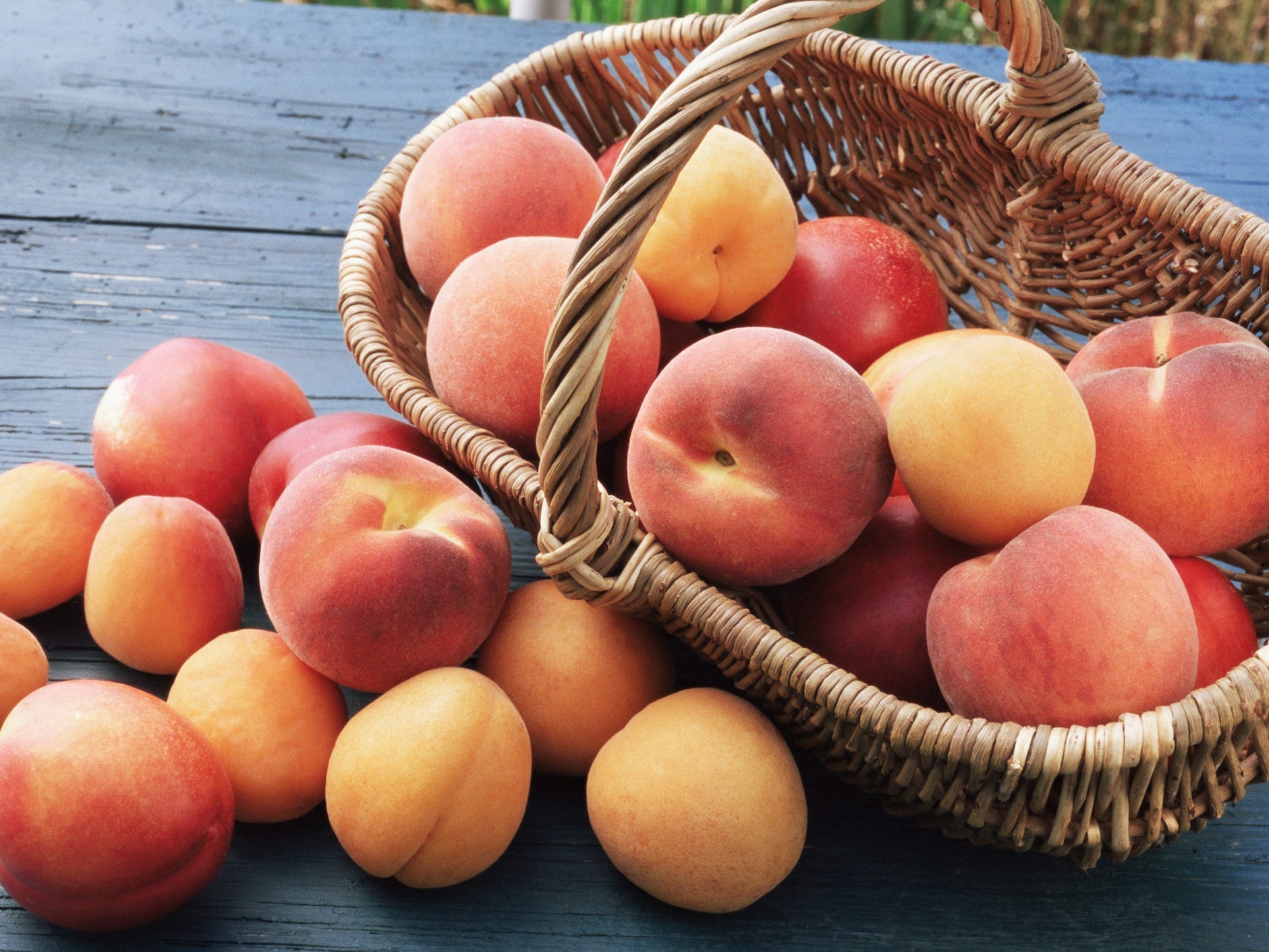 Peaches in a basket and on a table.