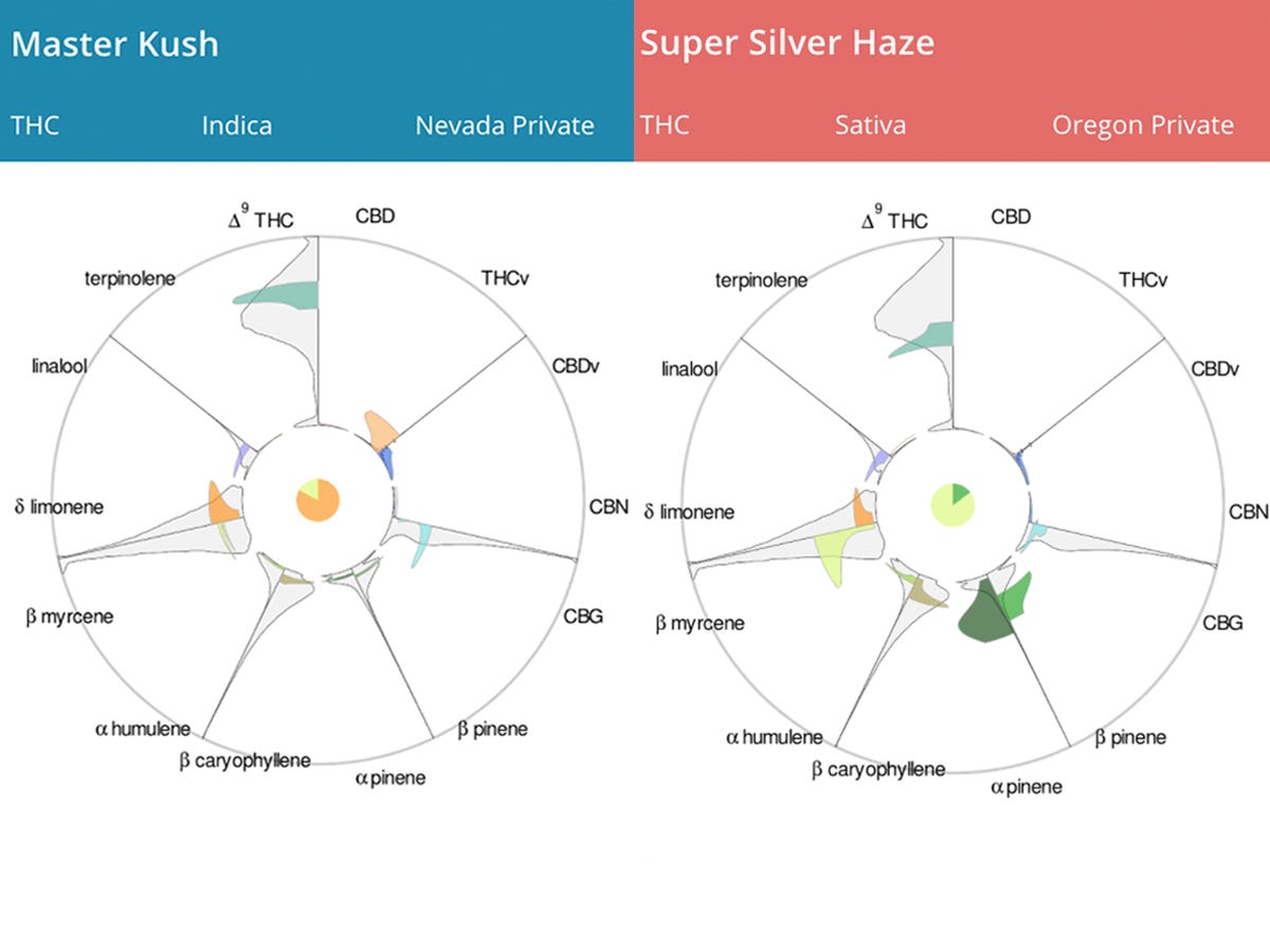 Two side-by-side charts show how cannabis strain names and classifications can be inaccurate ways to pinpoint a preferred product.