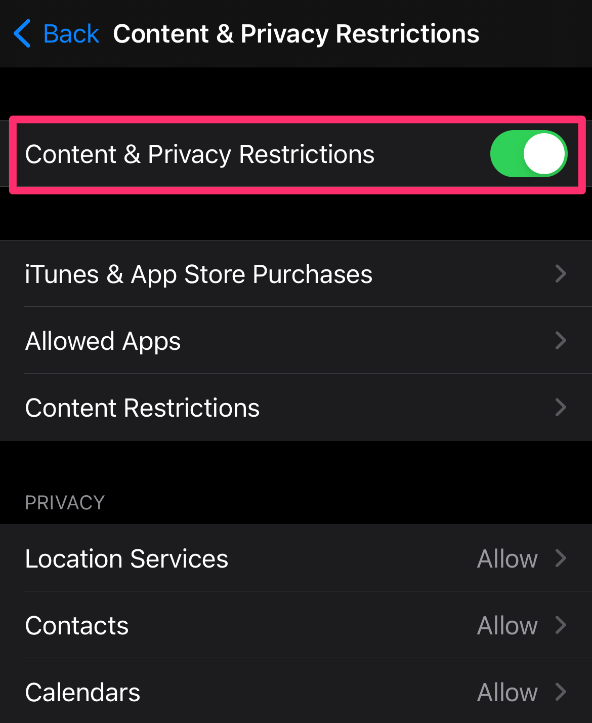 Screenshot of the Content & Privacy Restrictions page in the Settings app