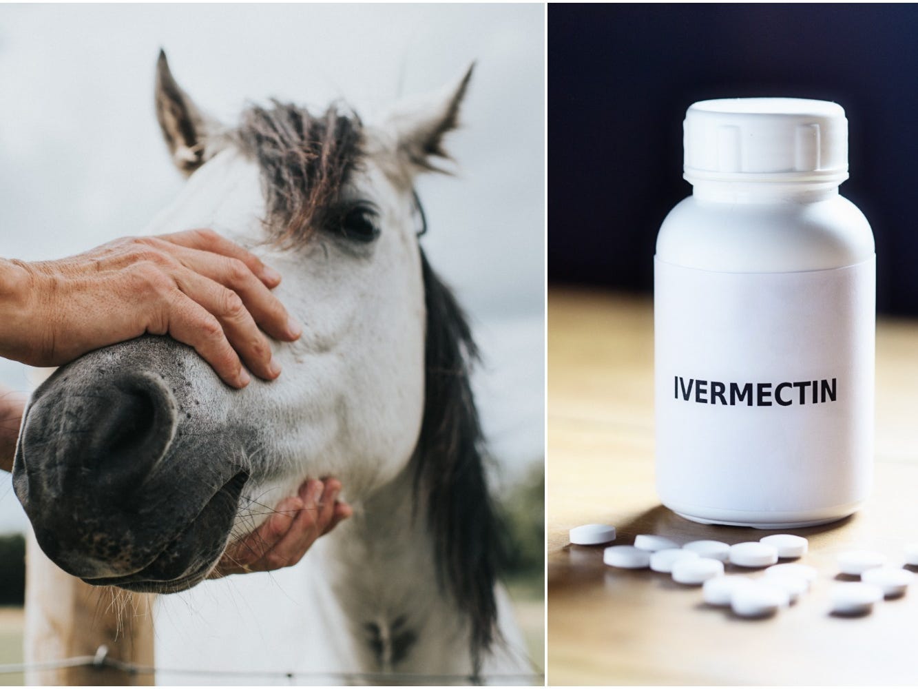 Horse owners, ivermectin