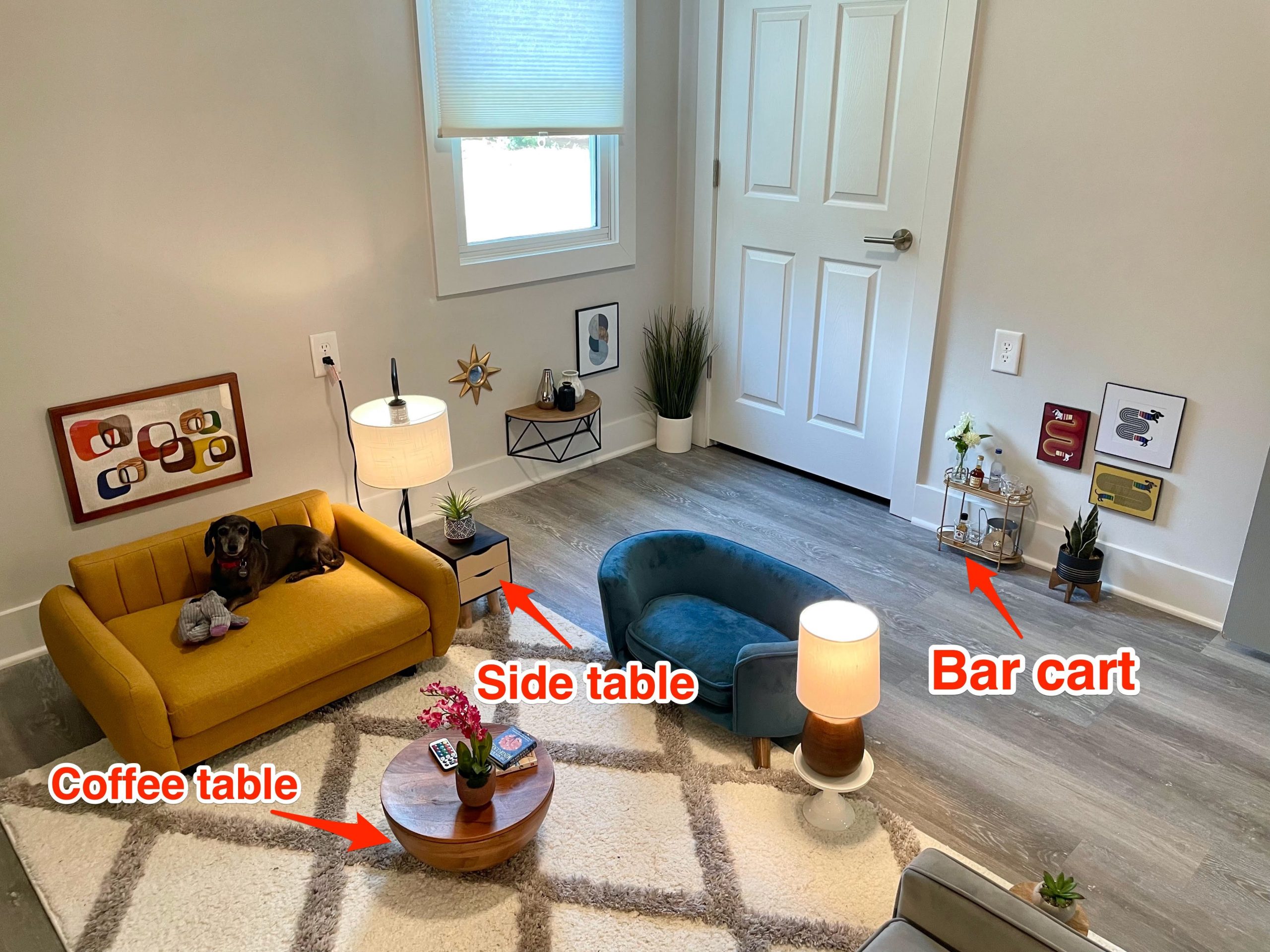 Ben Mazer created a living room for his dogs so they could have a place to hang out while he's working as an ER doctor.