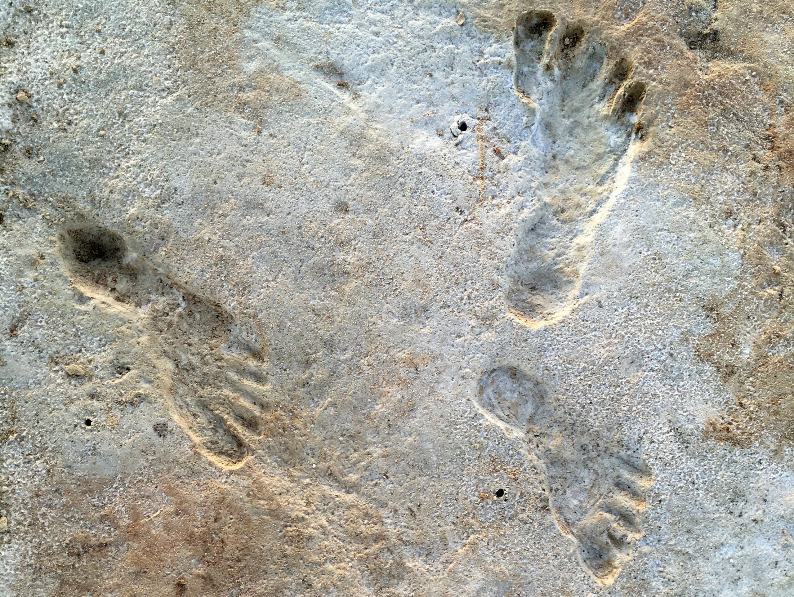 white sands footprints