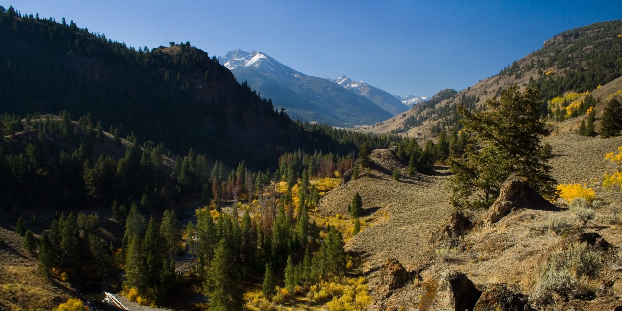 East fork of the Salmon River near the Sawtooth National Recreation Area in Idaho. File photo.