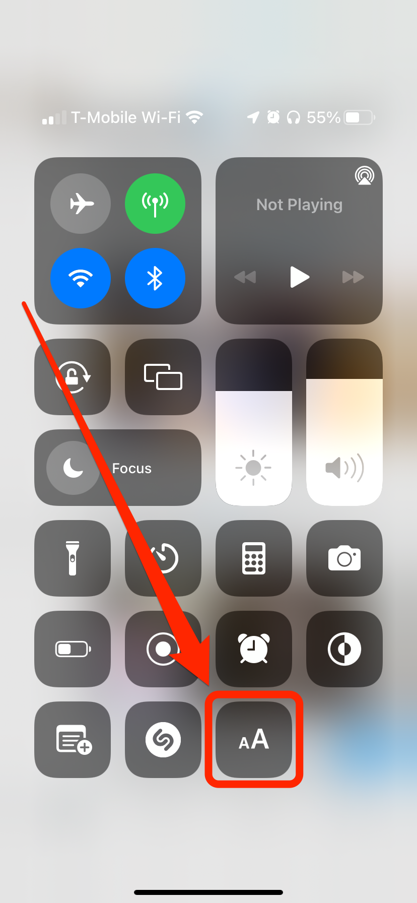 The Control Center on an iPhone, with the Text Size option highlighted.