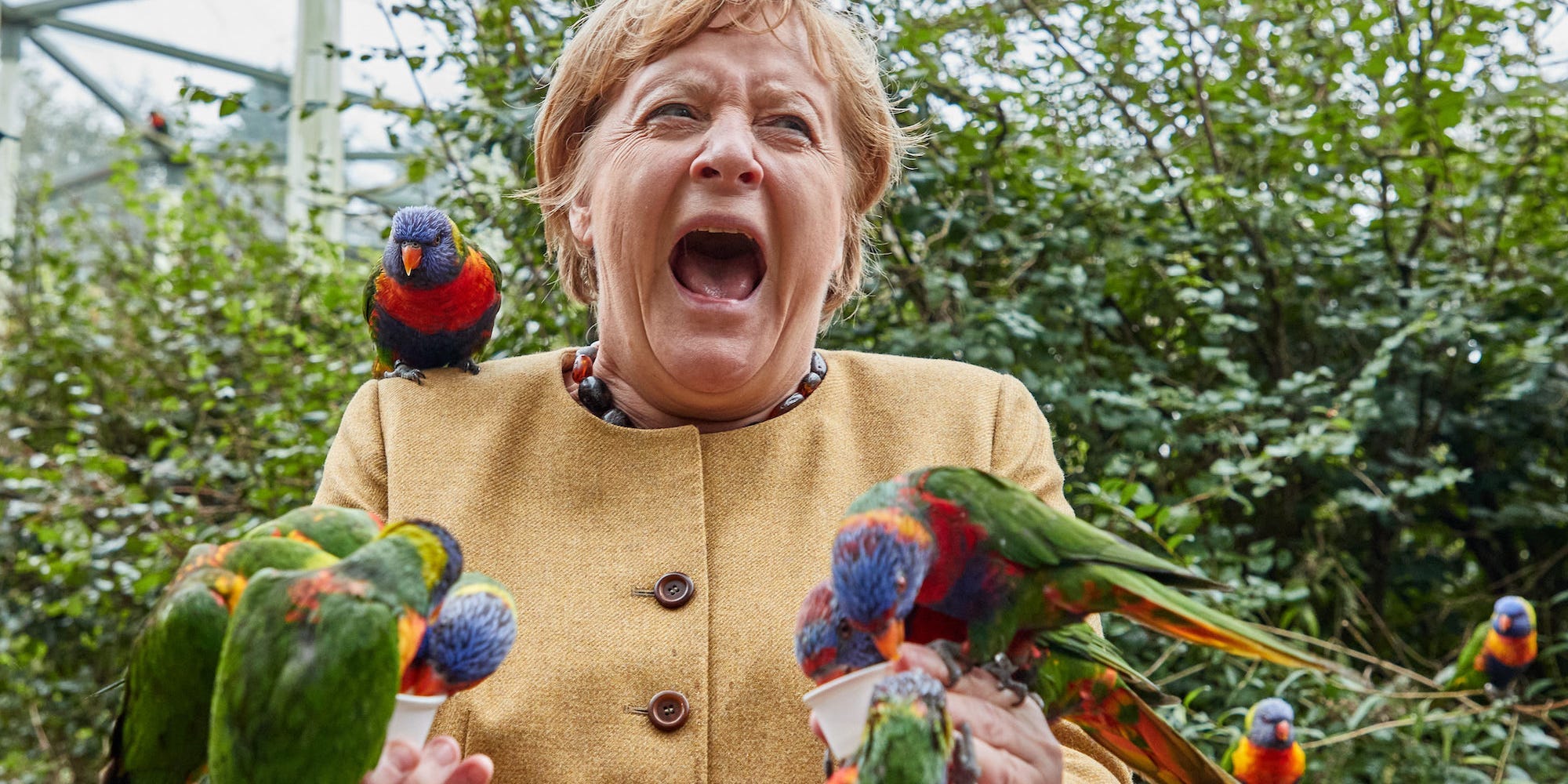 Angela Merkel covered in birds