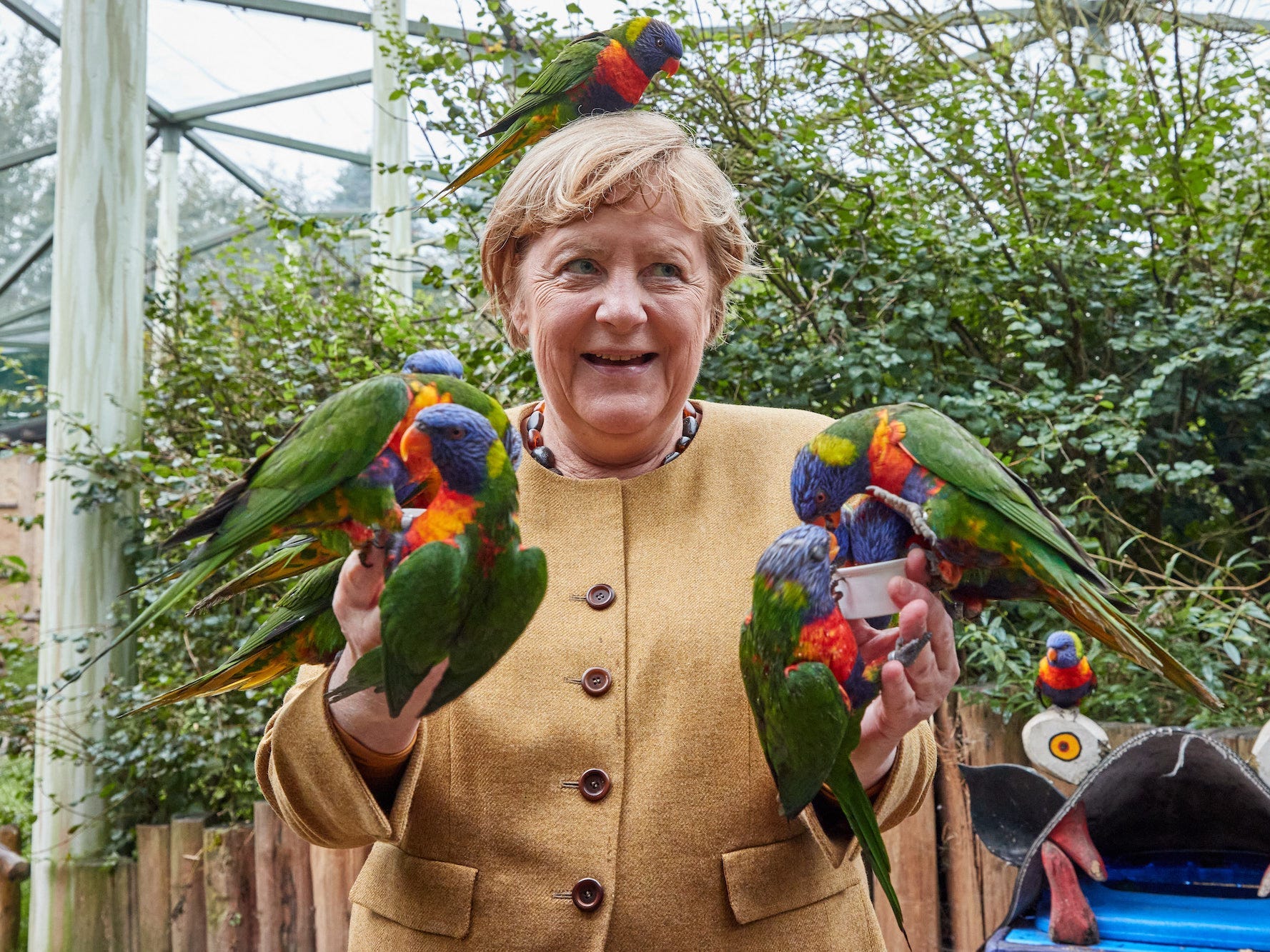 Angela Merkel covered in birds