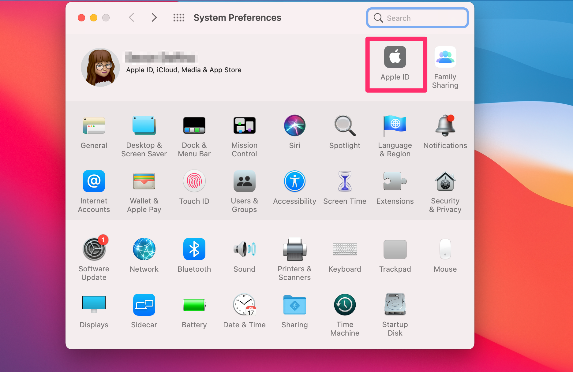 Screenshot of the System Preferences menu on a Mac