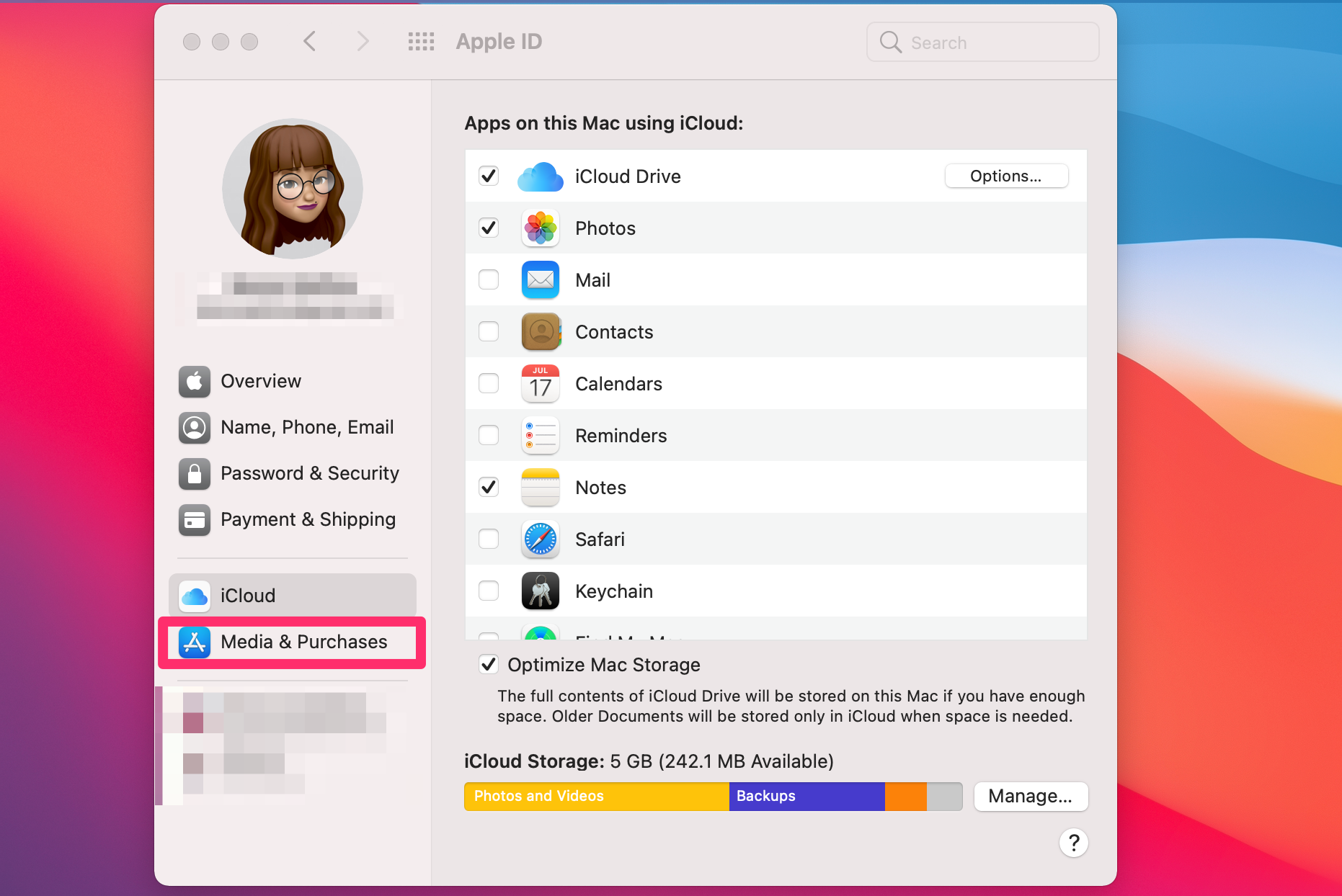 Screenshot of the Apple ID menu on a Mac
