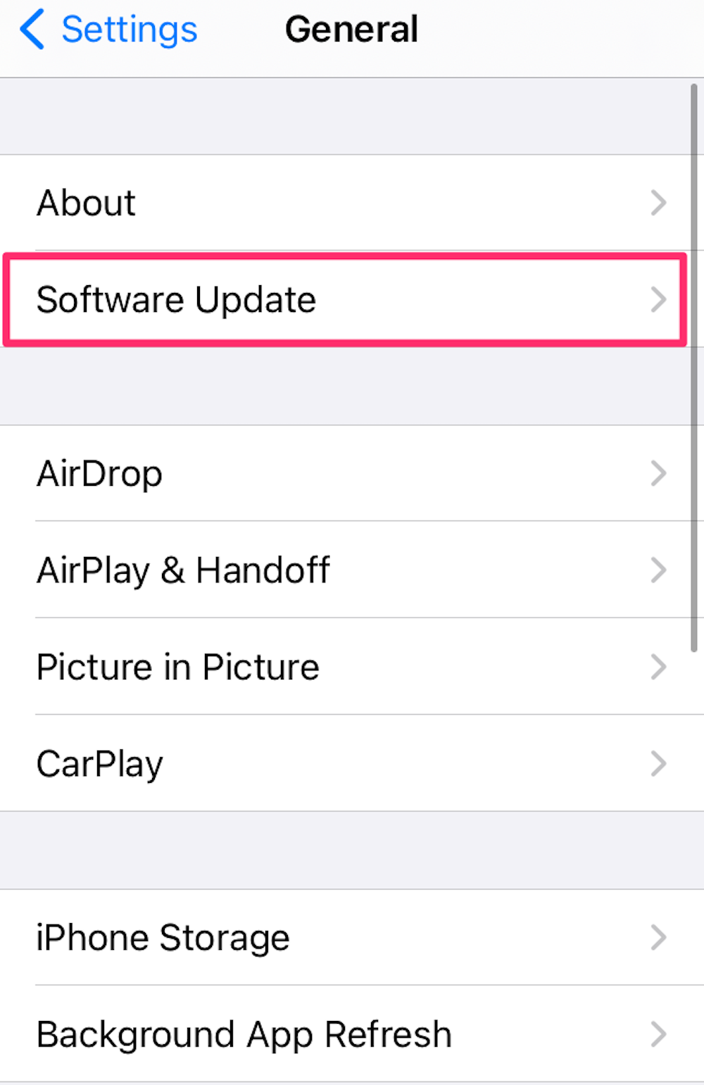 Screenshot of the Settings screen featuring the software update option