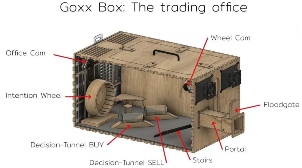 De Goxx Box