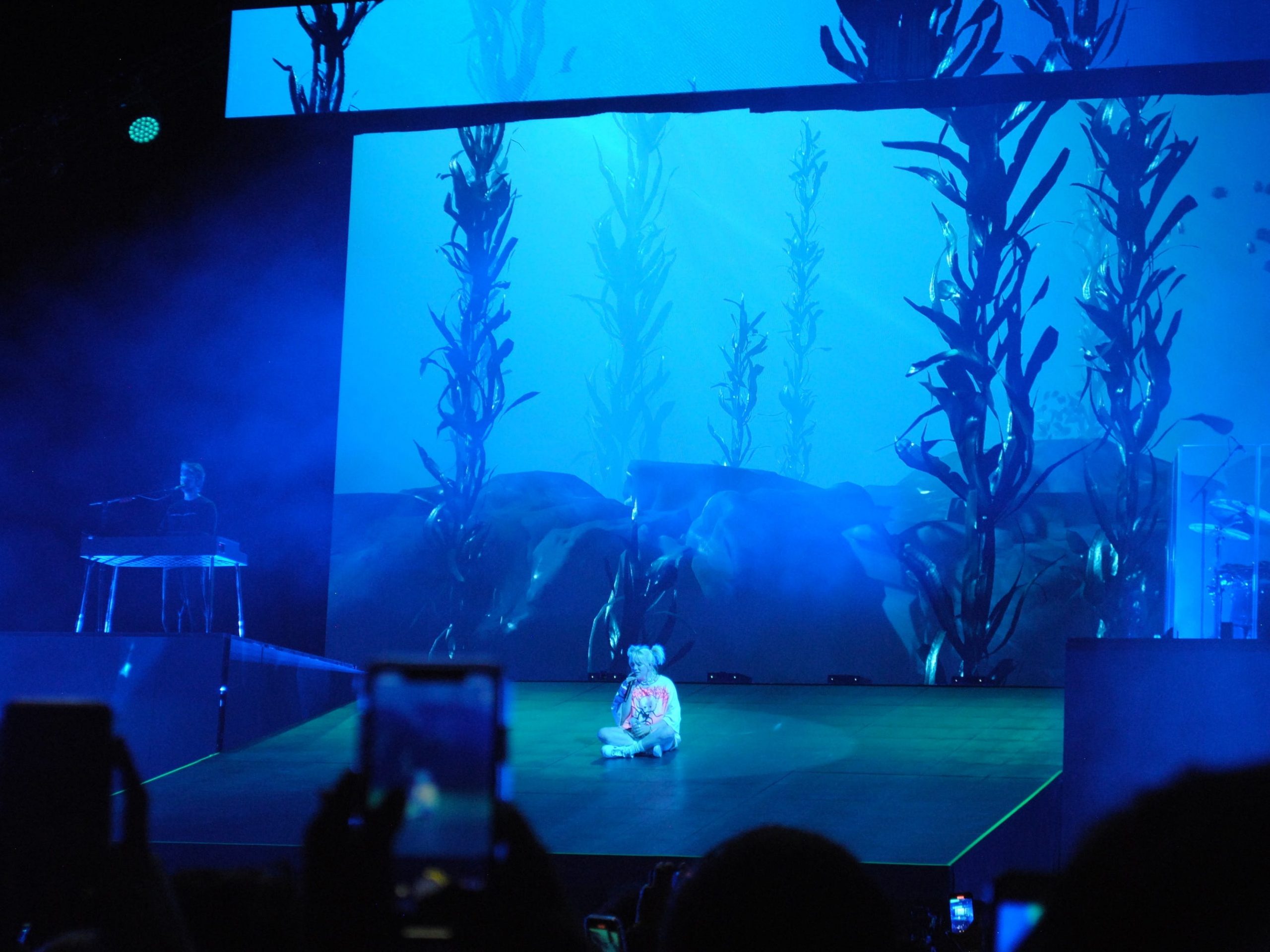 billie eilish gov ball ilomilo